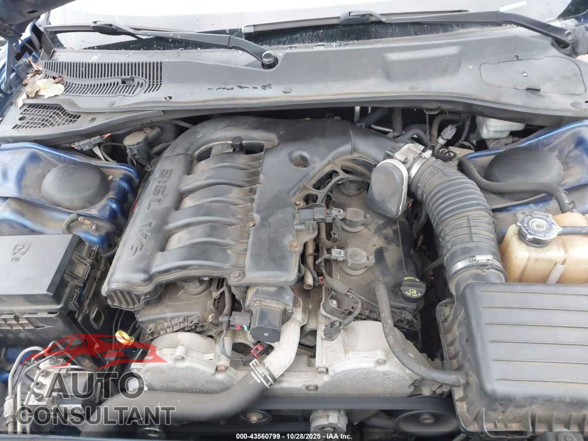 DODGE CHARGER 2010 - 2B3CA3CV2AH124613