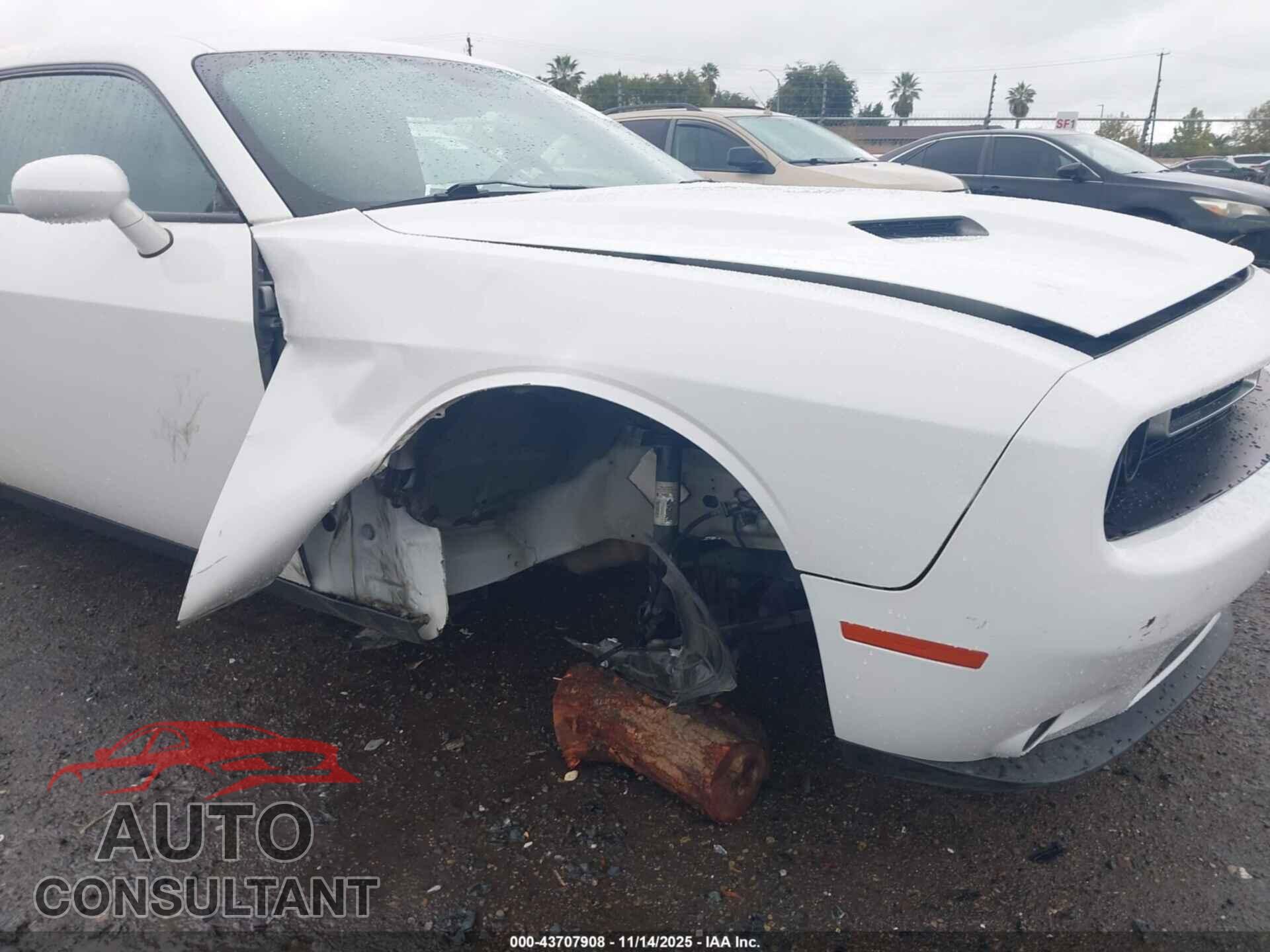 DODGE CHALLENGER 2019 - 2C3CDZAG8KH691217