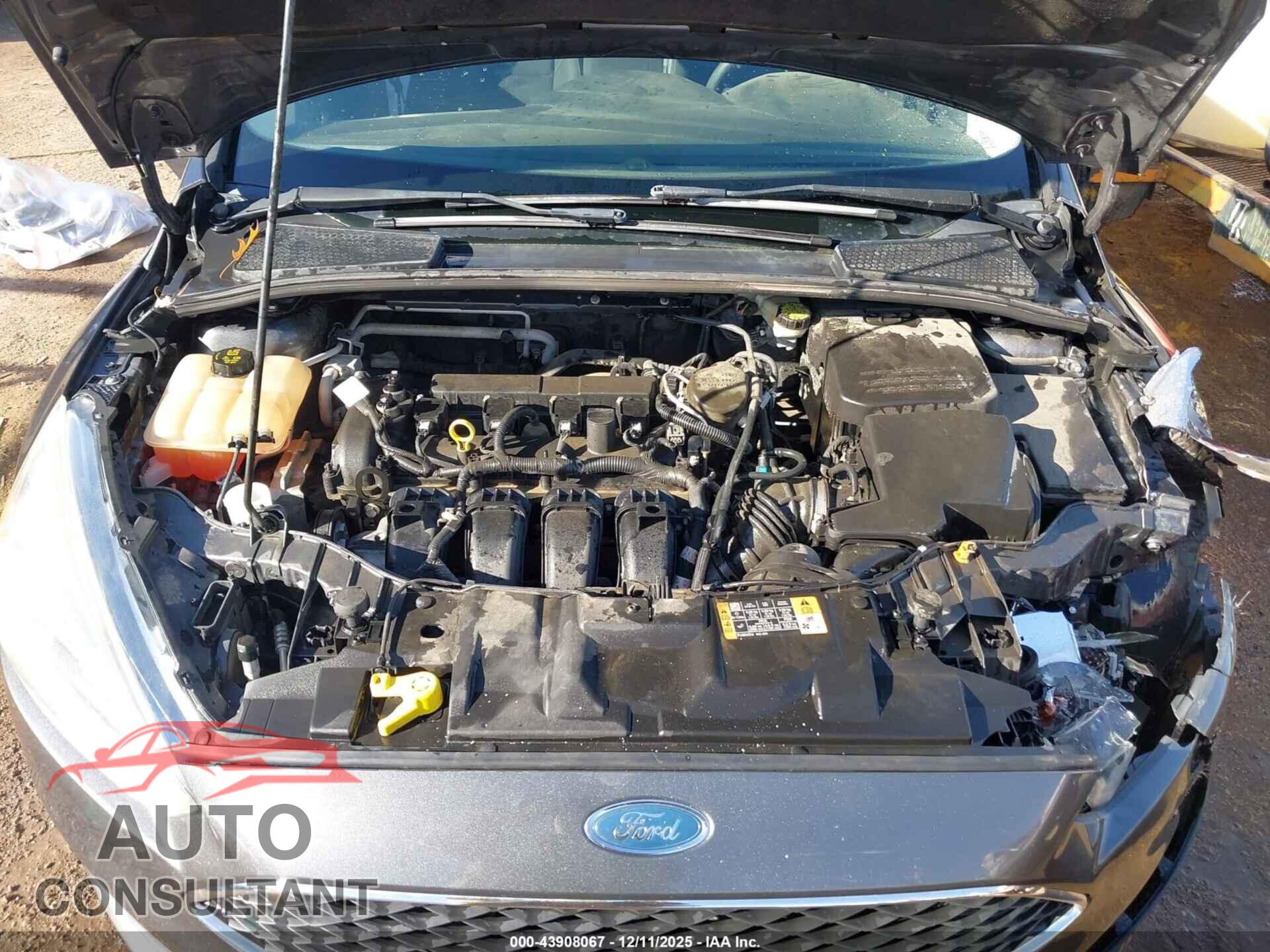 FORD FOCUS 2016 - 1FADP3F23GL309953