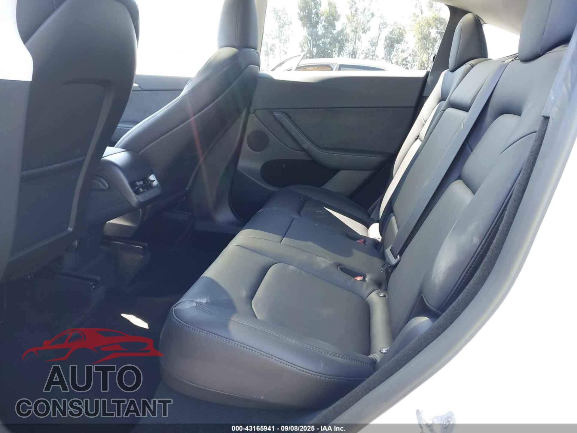 TESLA MODEL Y 2024 - 7SAYGDED2RF169875