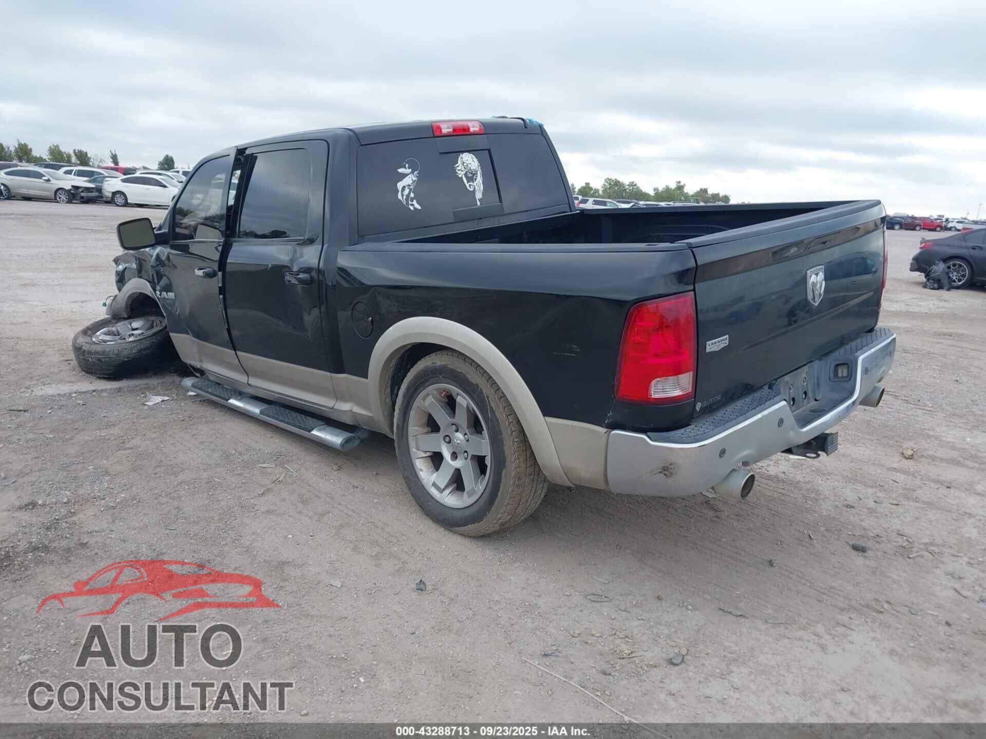 DODGE RAM 1500 2010 - 1D7RB1CTXAS190298