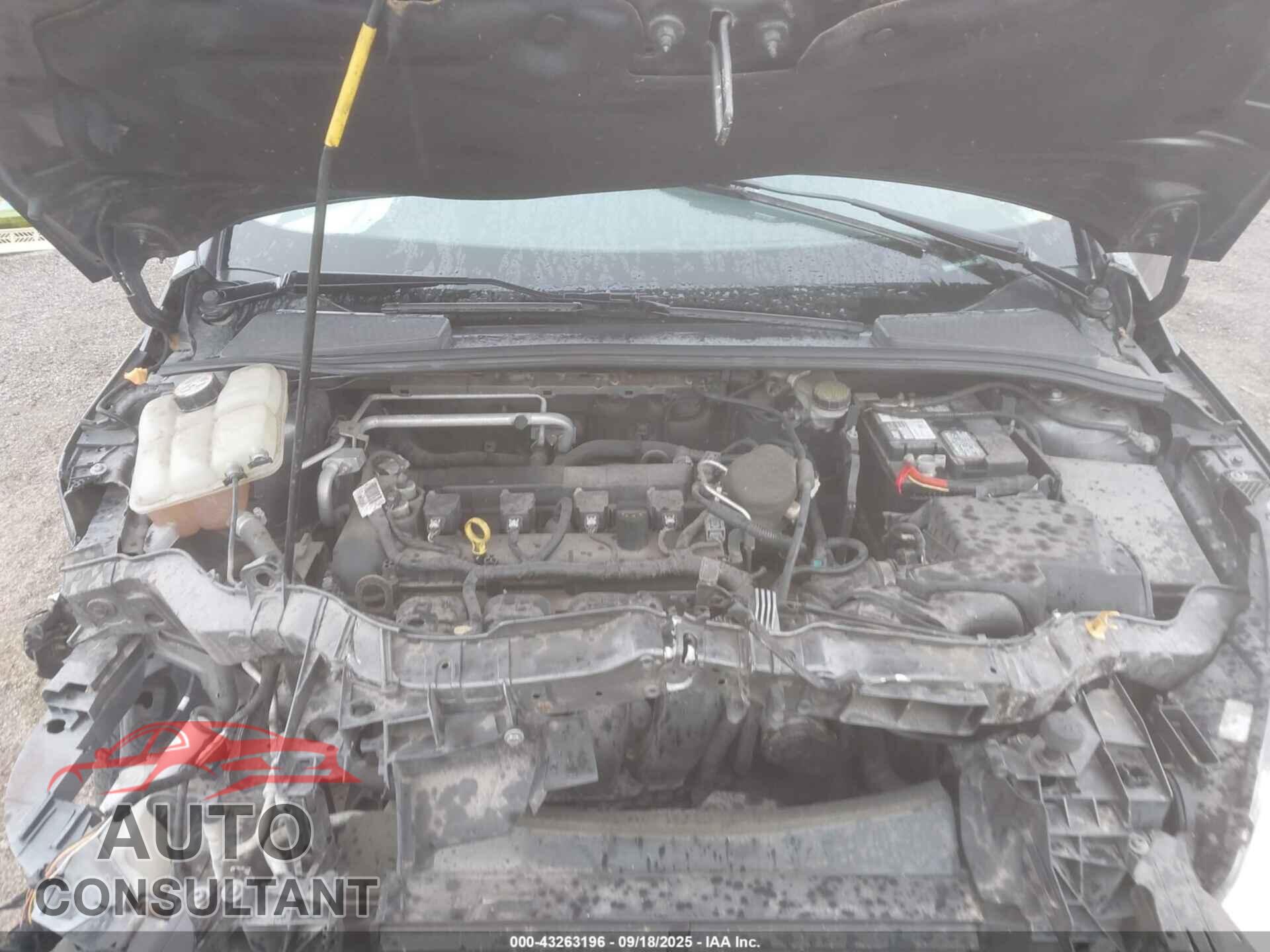 FORD FOCUS 2015 - 1FADP3F20FL228617