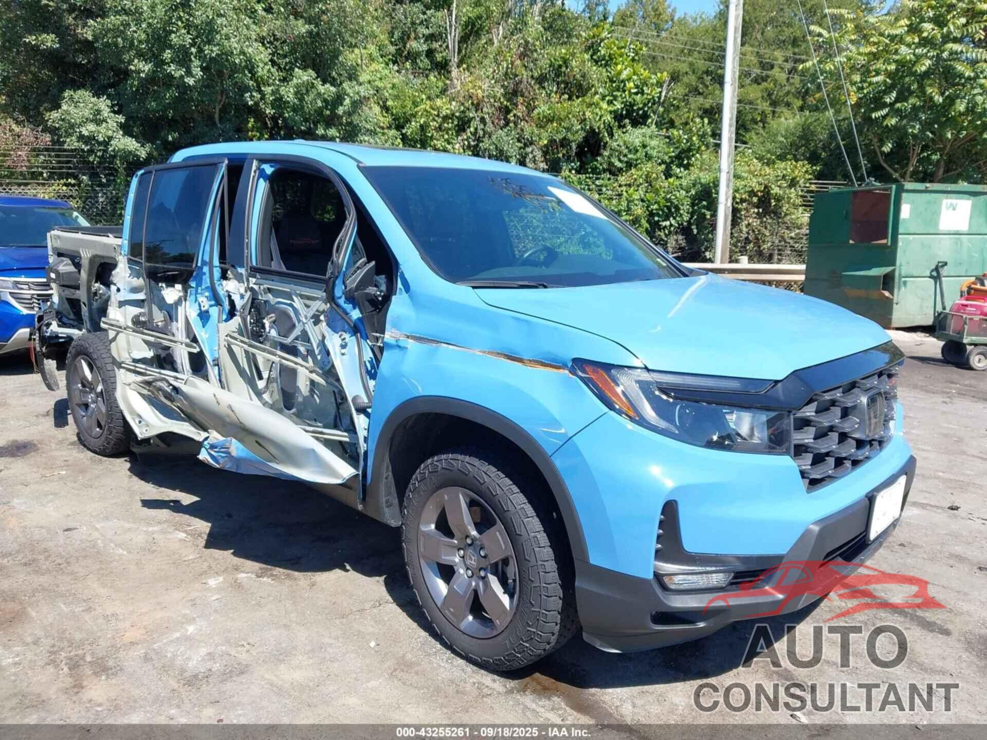 HONDA RIDGELINE 2024 - 5FPYK3F69RB012583