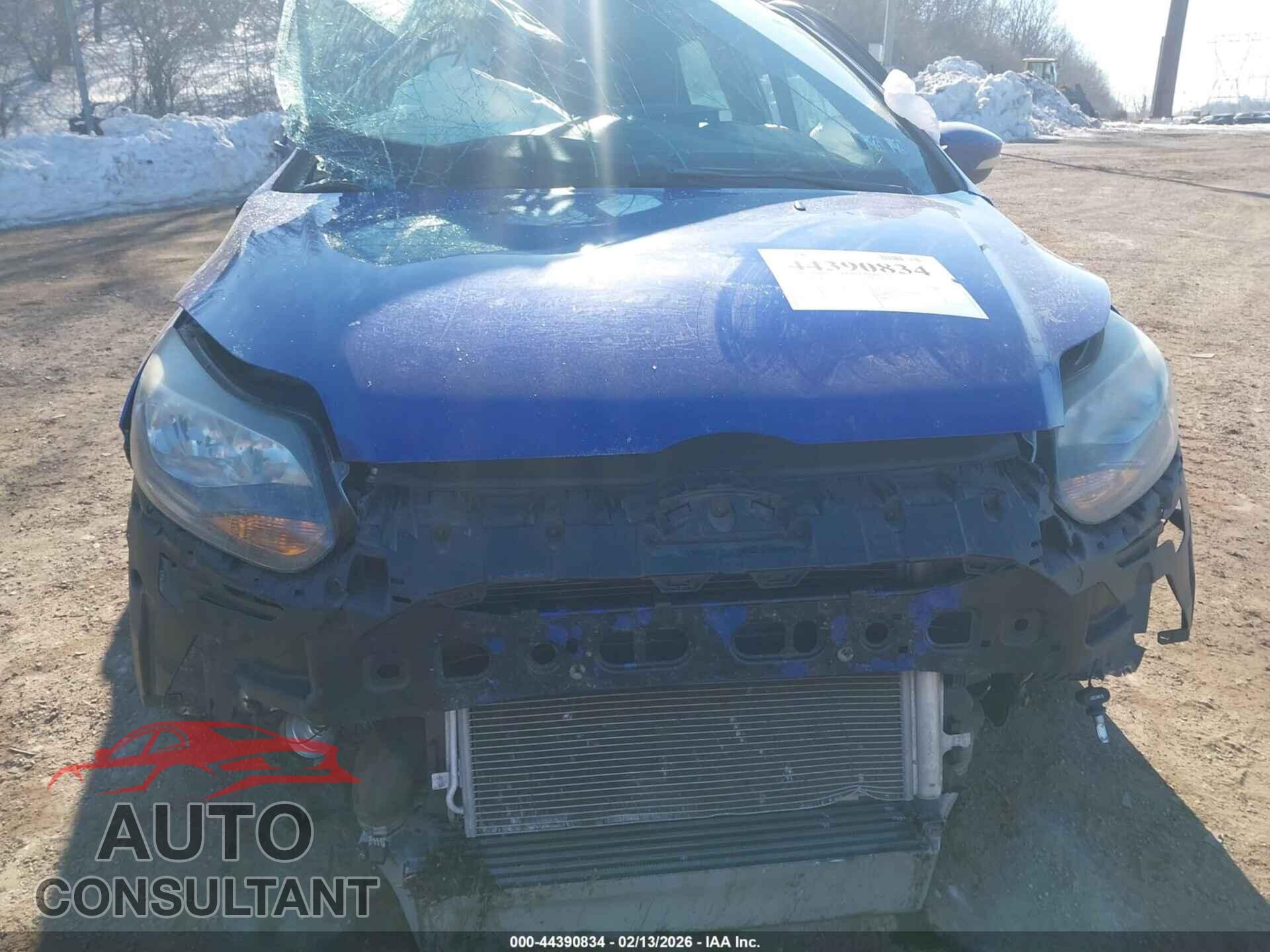 FORD FOCUS ST 2013 - 1FADP3L96DL160998