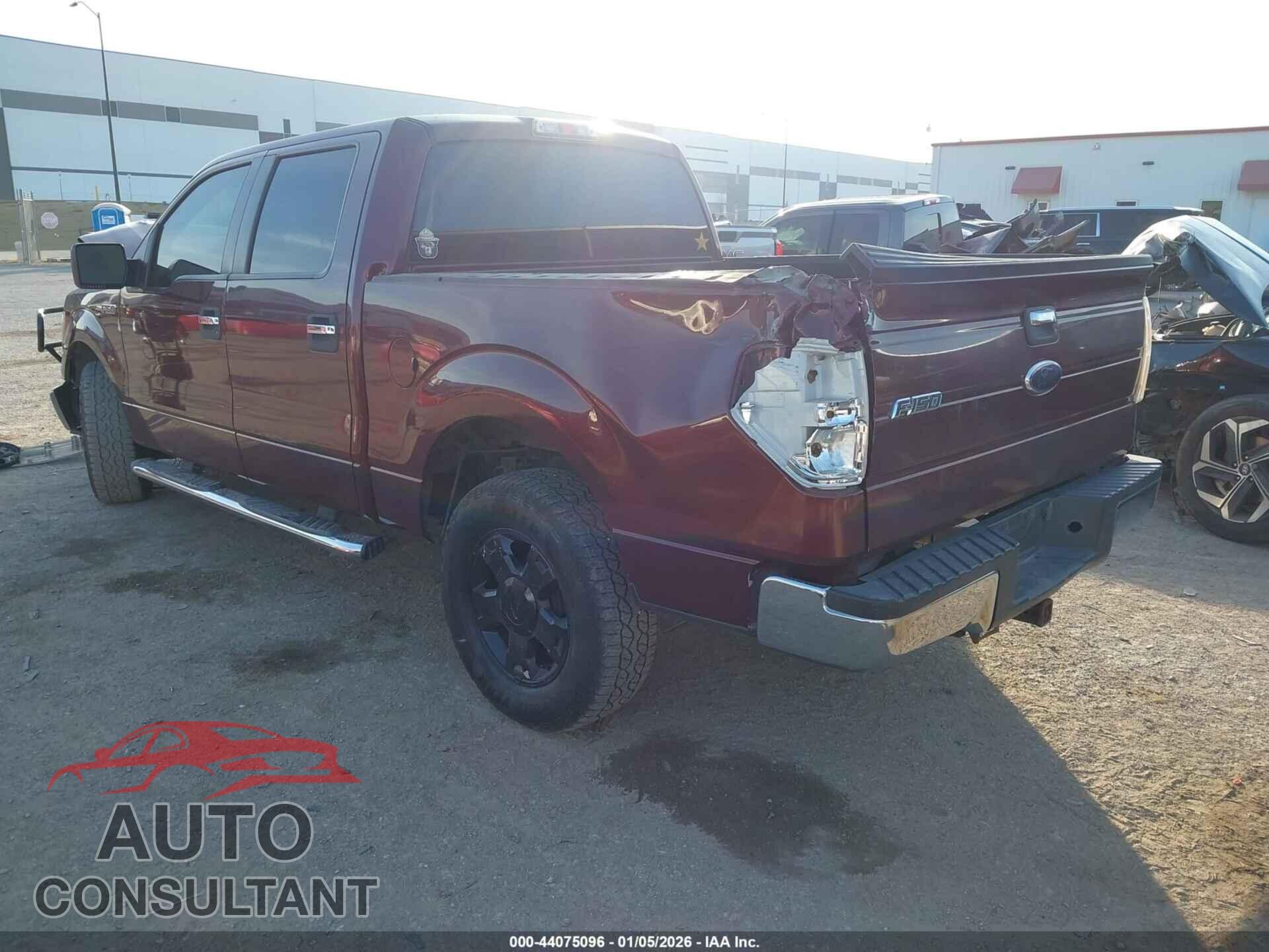 FORD F-150 2010 - 1FTEW1C8XAFD40105
