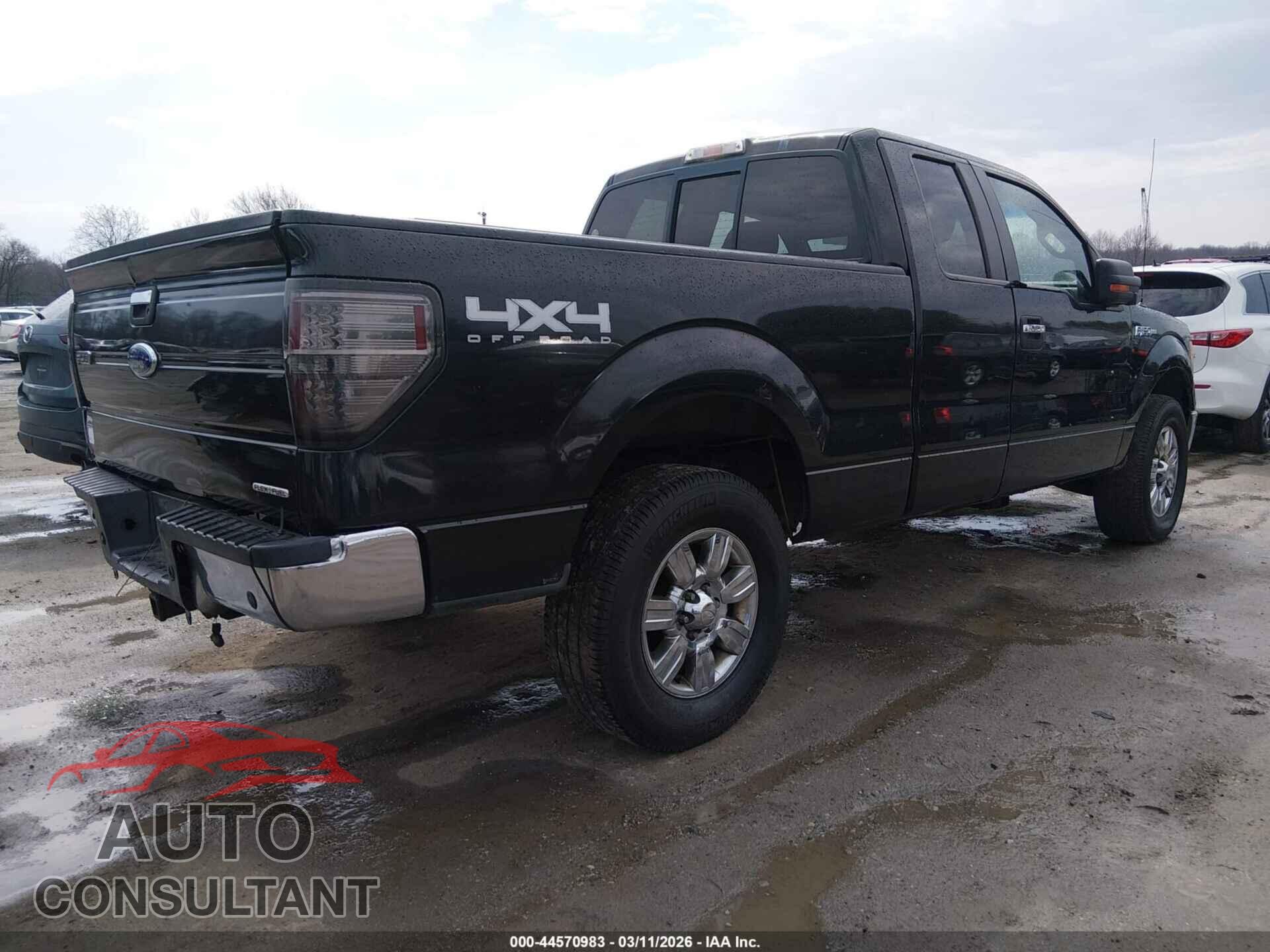 FORD F-150 2011 - 1FTFX1EF6BFA49499