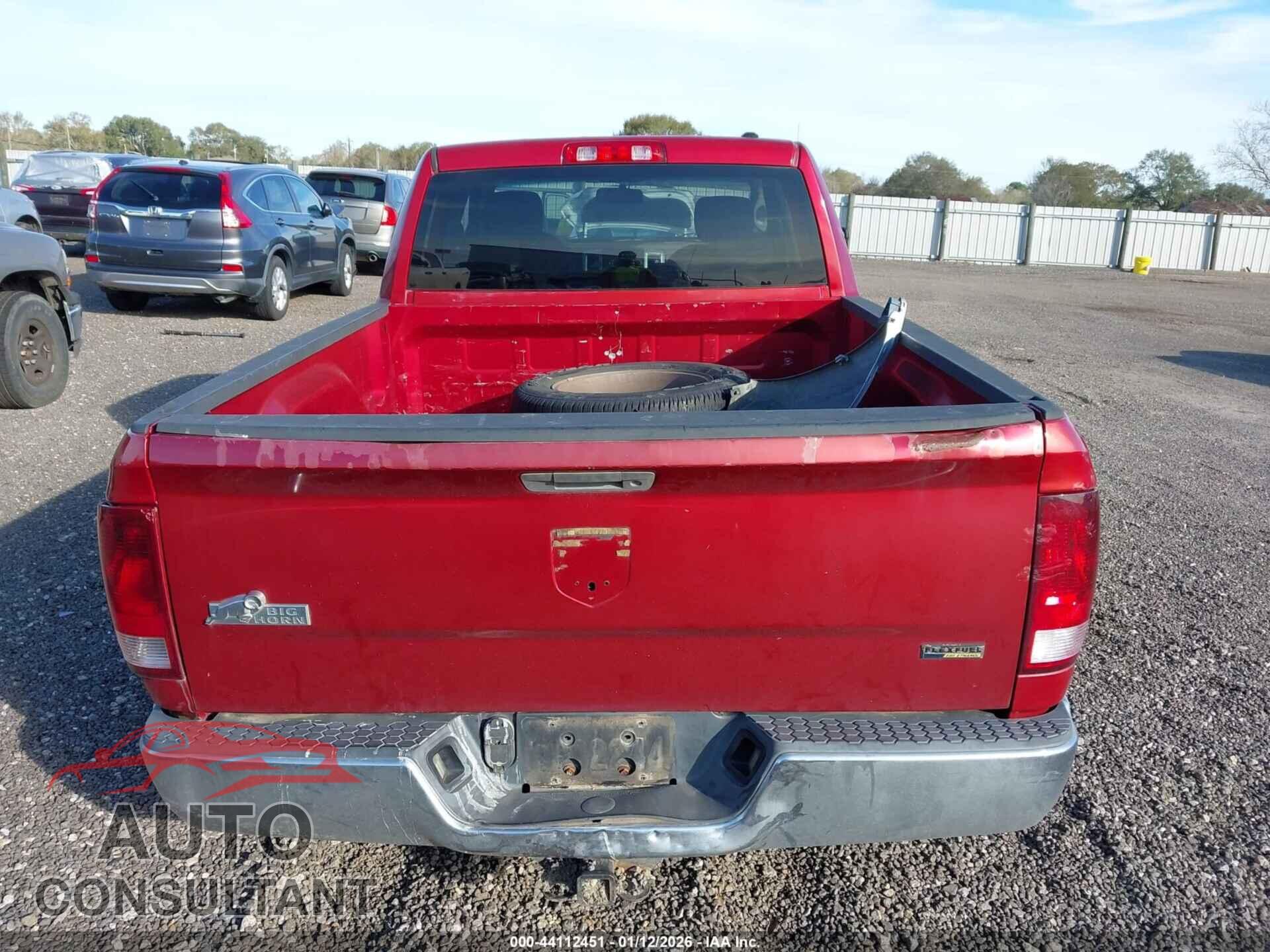 DODGE RAM 1500 2010 - 1D7RB1GP0AS162300