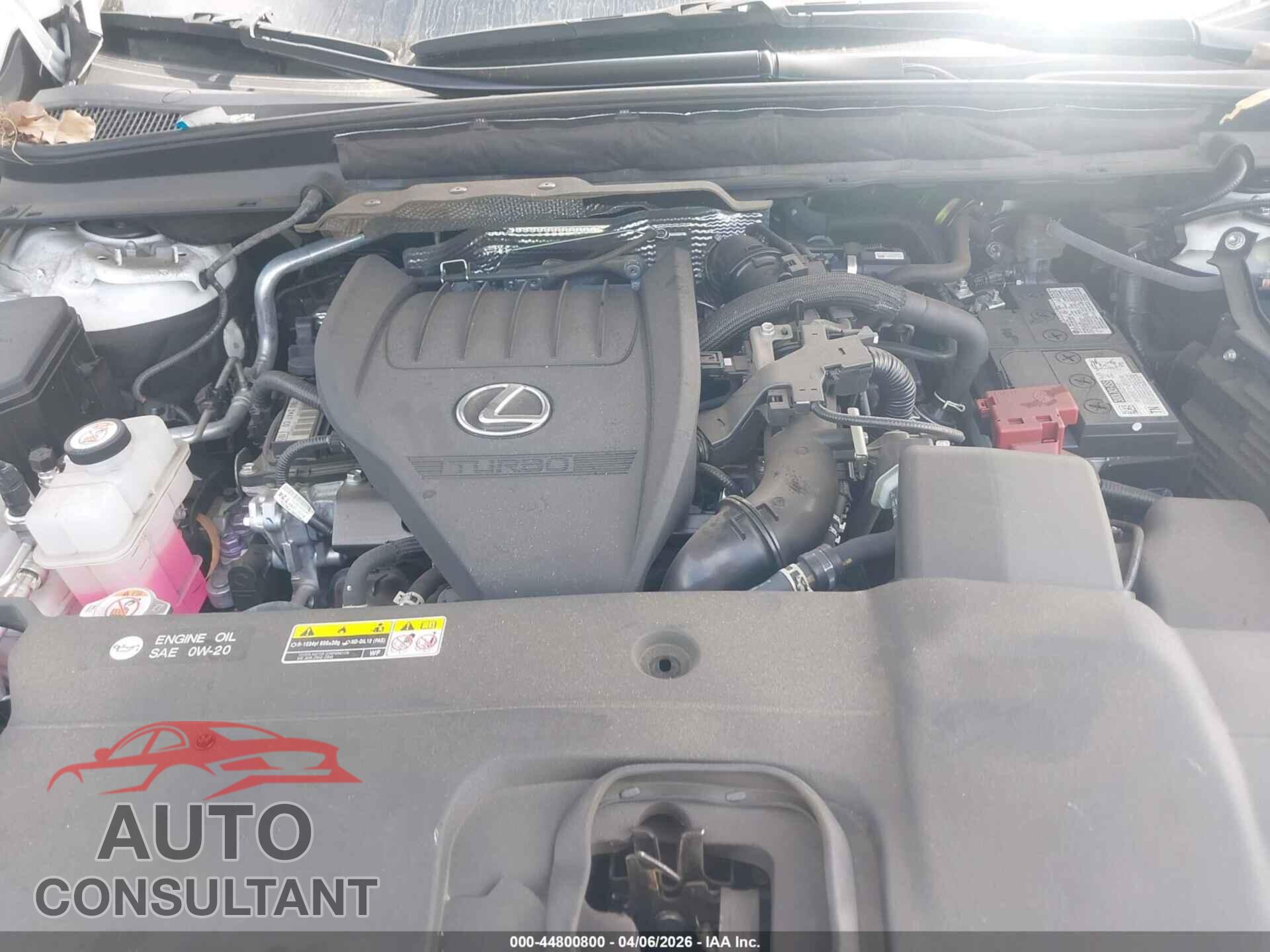 LEXUS RX 350 2023 - 2T2BAMBA5PC005337