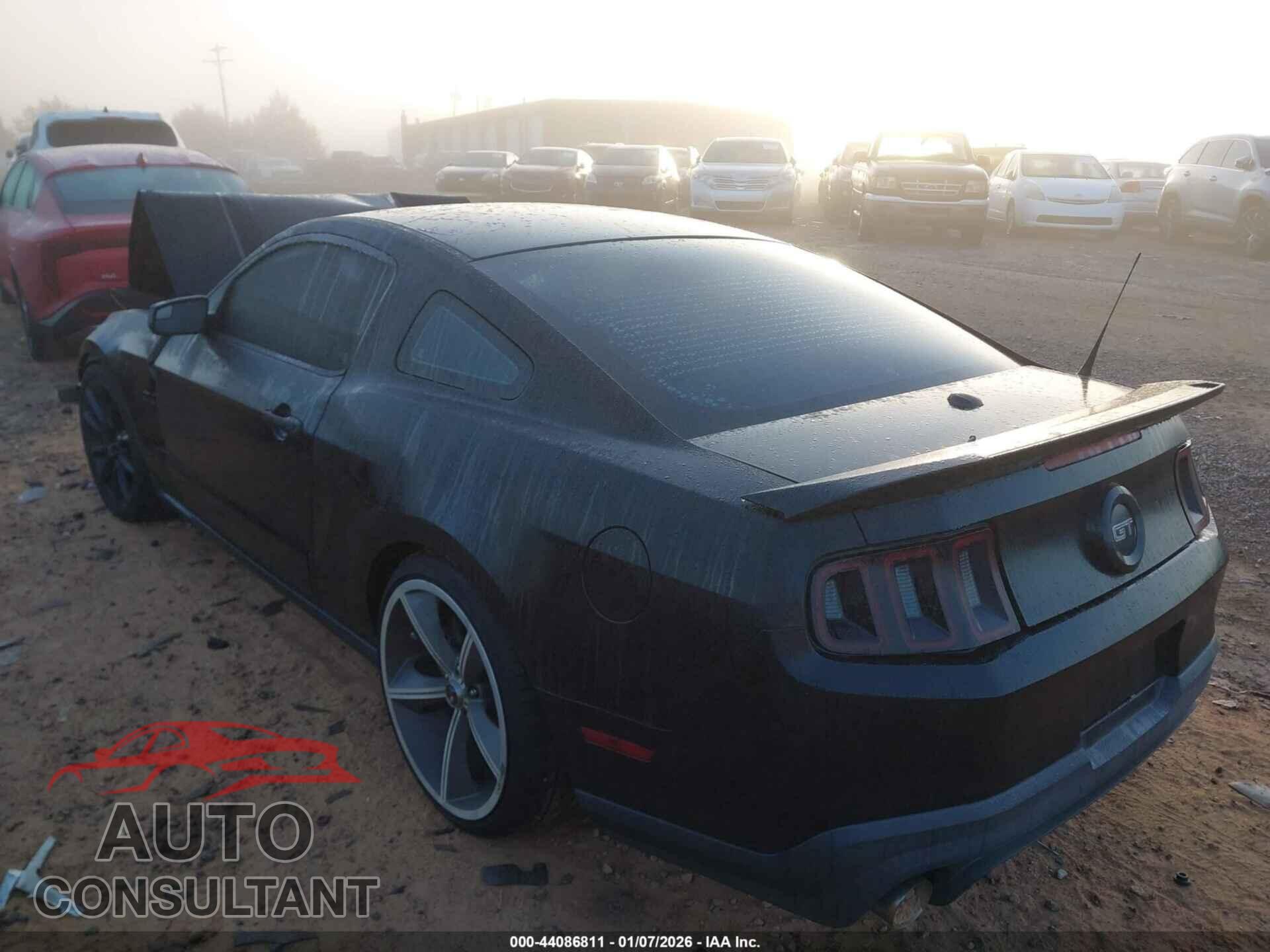 FORD MUSTANG 2011 - 1ZVBP8CF2B5146566