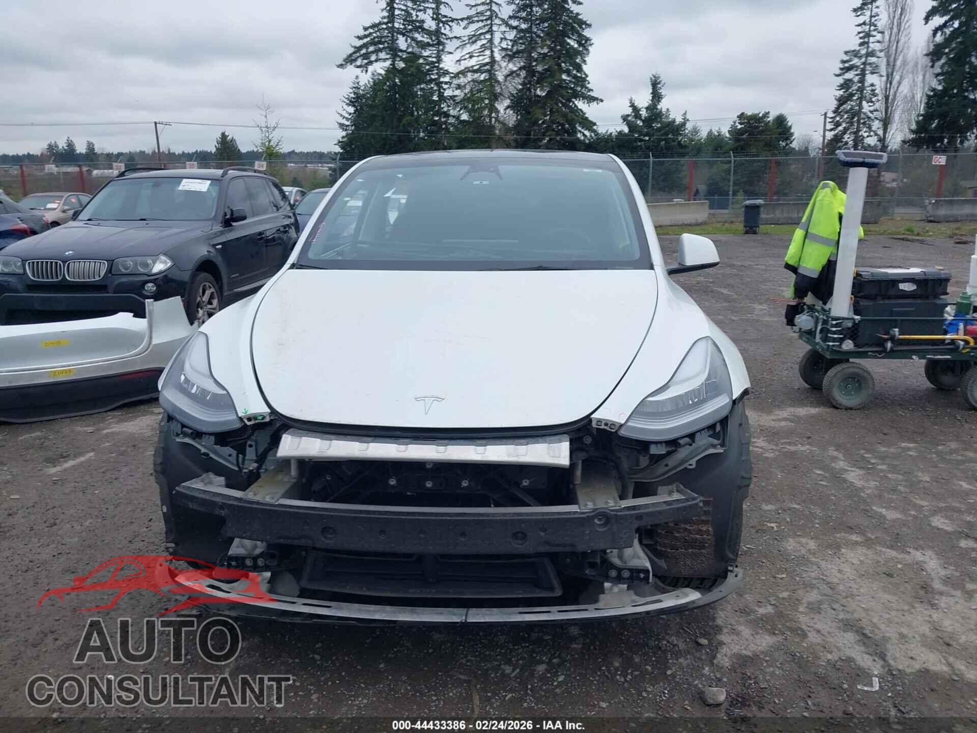 TESLA MODEL Y 2022 - 7SAYGAEE2NF570912