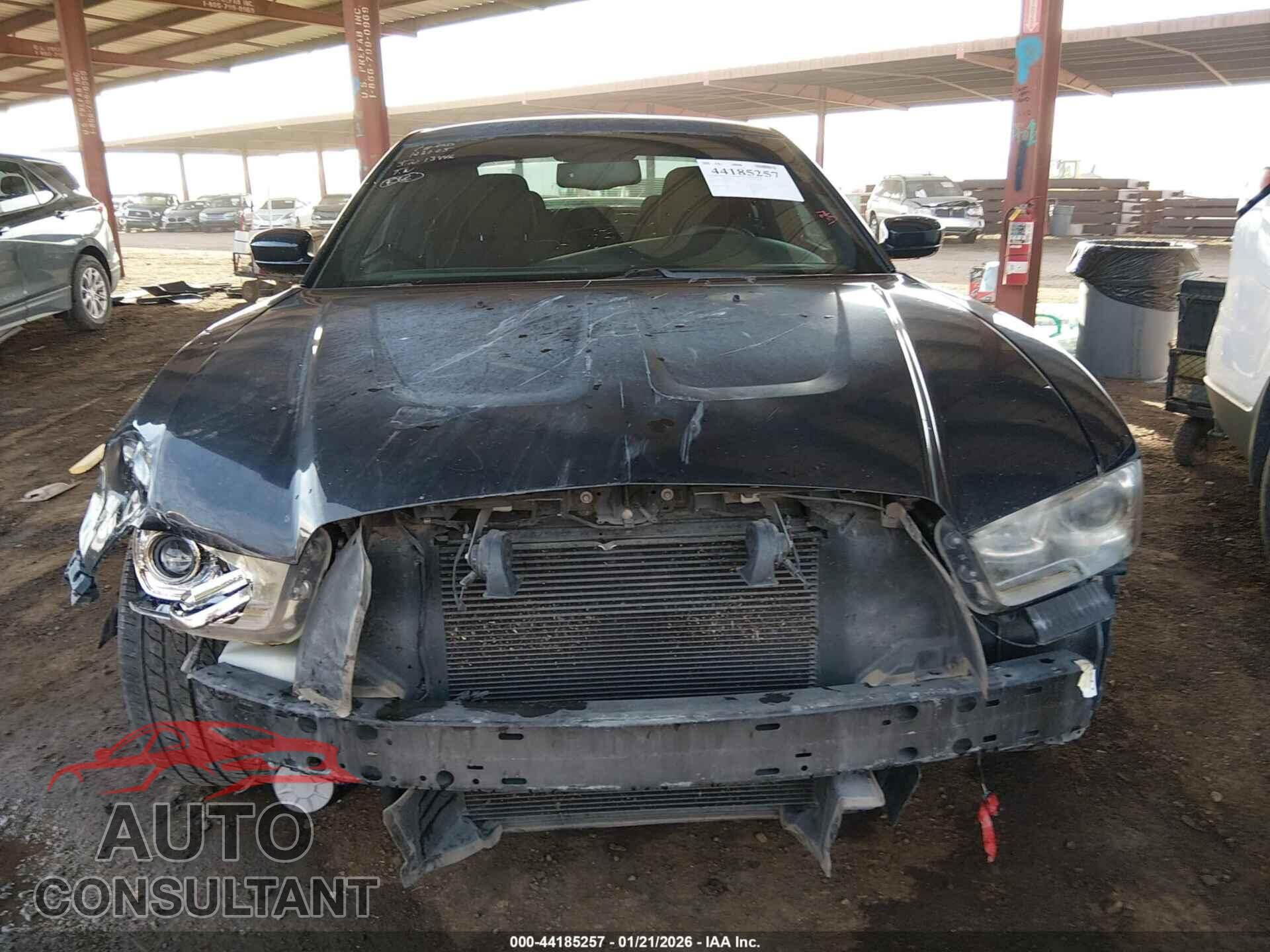 DODGE CHARGER 2014 - 2C3CDXCT3EH165578