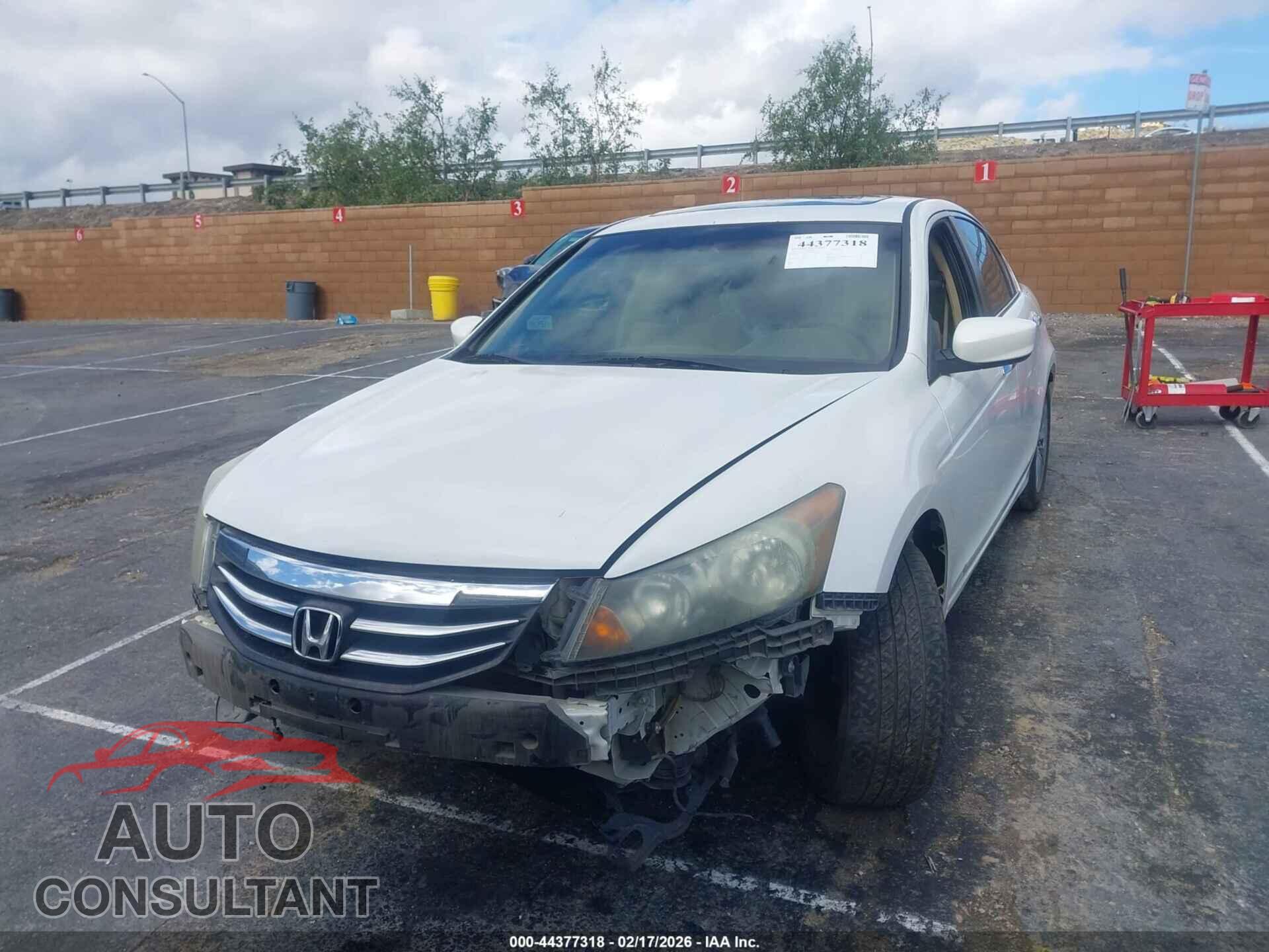 HONDA ACCORD 2011 - 5KBCP3F73BB004676