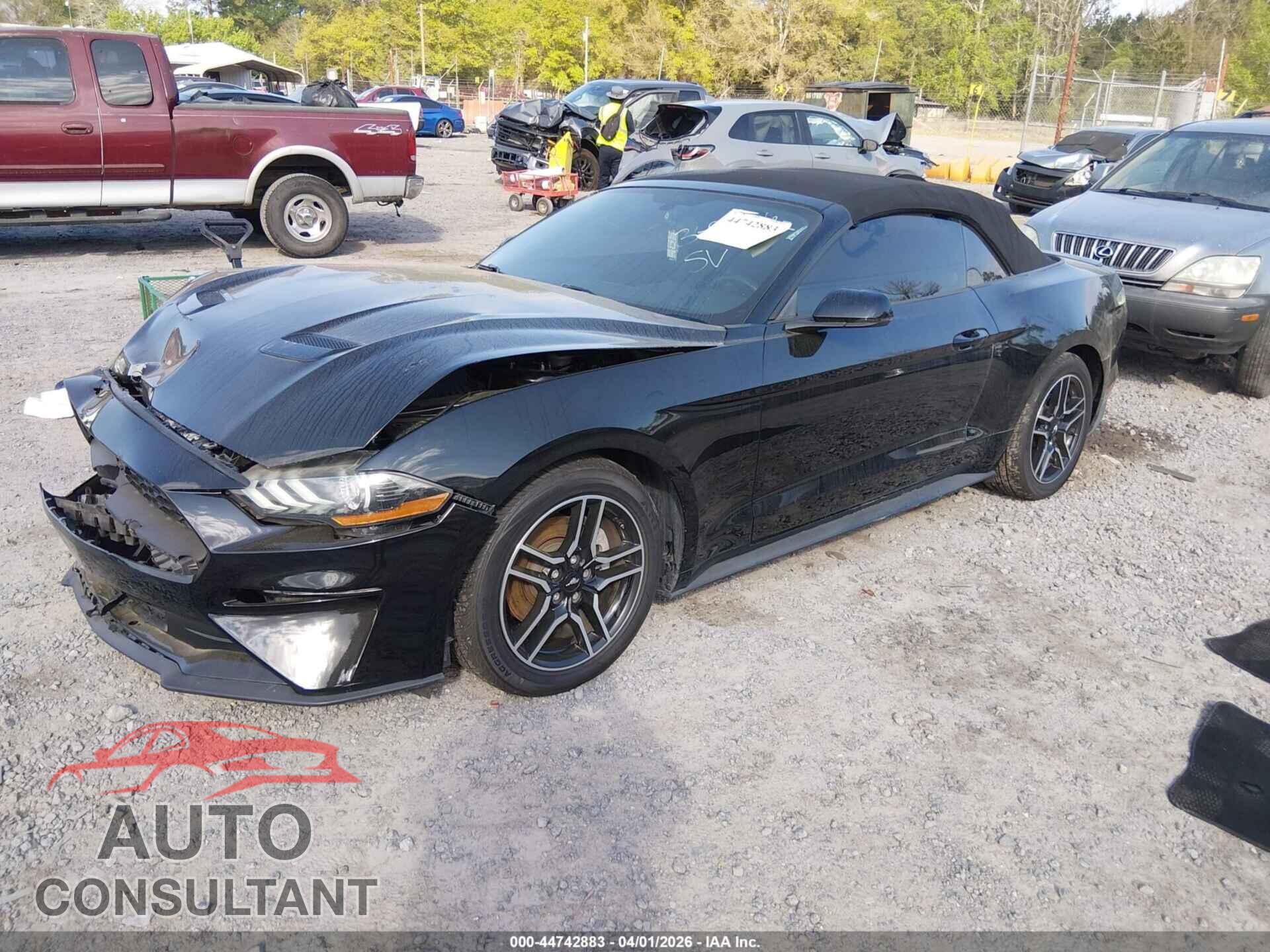 FORD MUSTANG 2019 - 1FATP8UH7K5158287