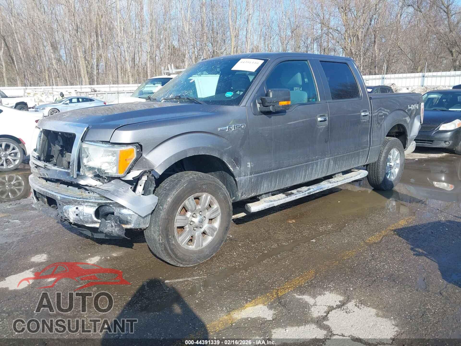 FORD F-150 2011 - 1FTFW1EF2BFB53913