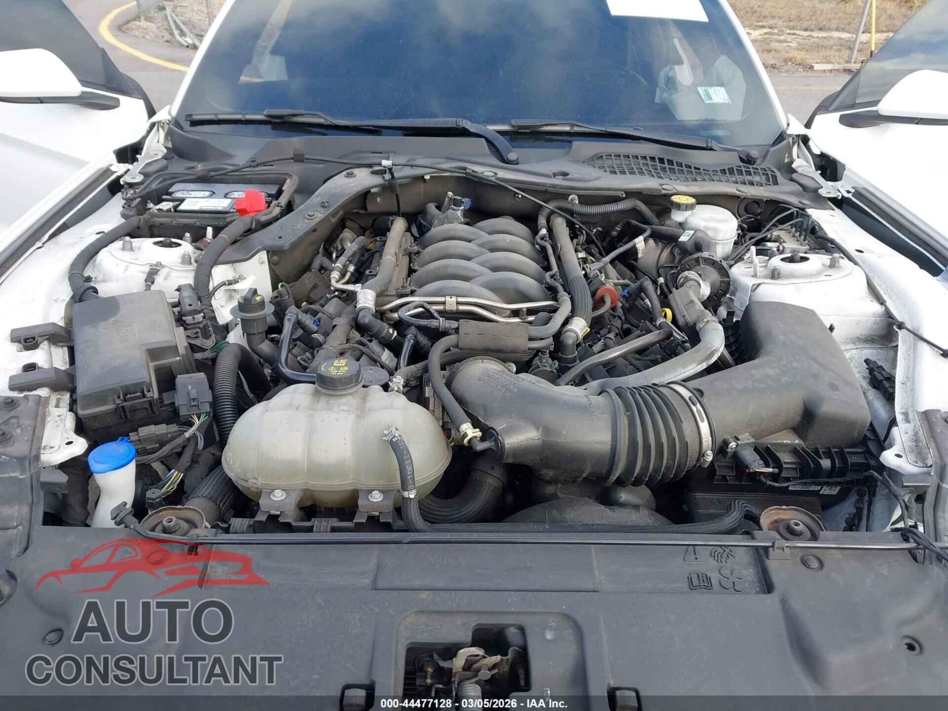 FORD MUSTANG 2021 - 1FA6P8CFXM5151950