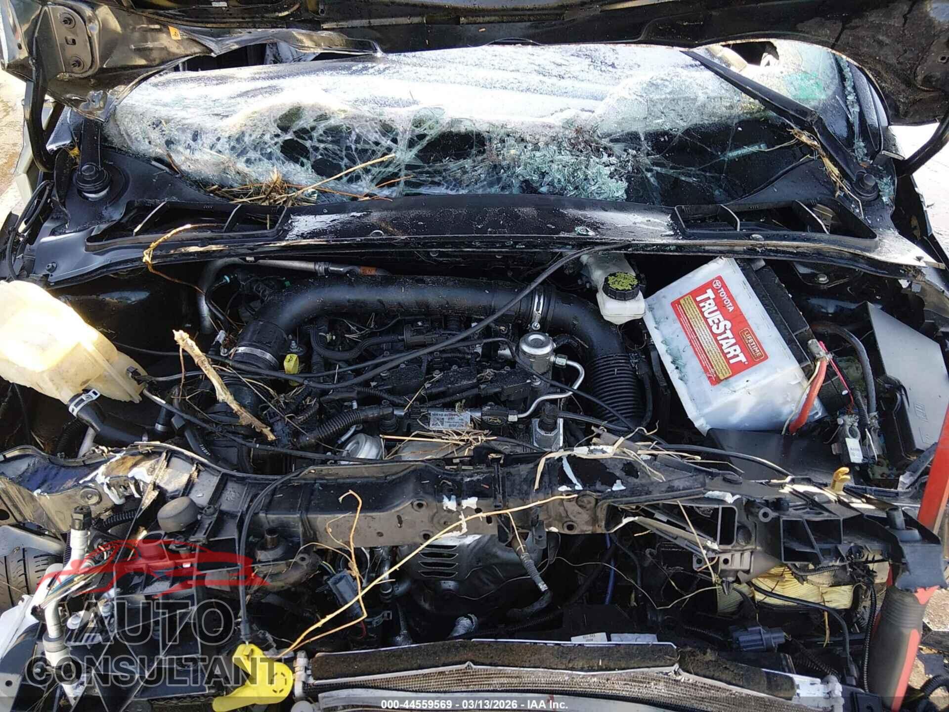 FORD FOCUS 2017 - 1FADP3FE3HL317420