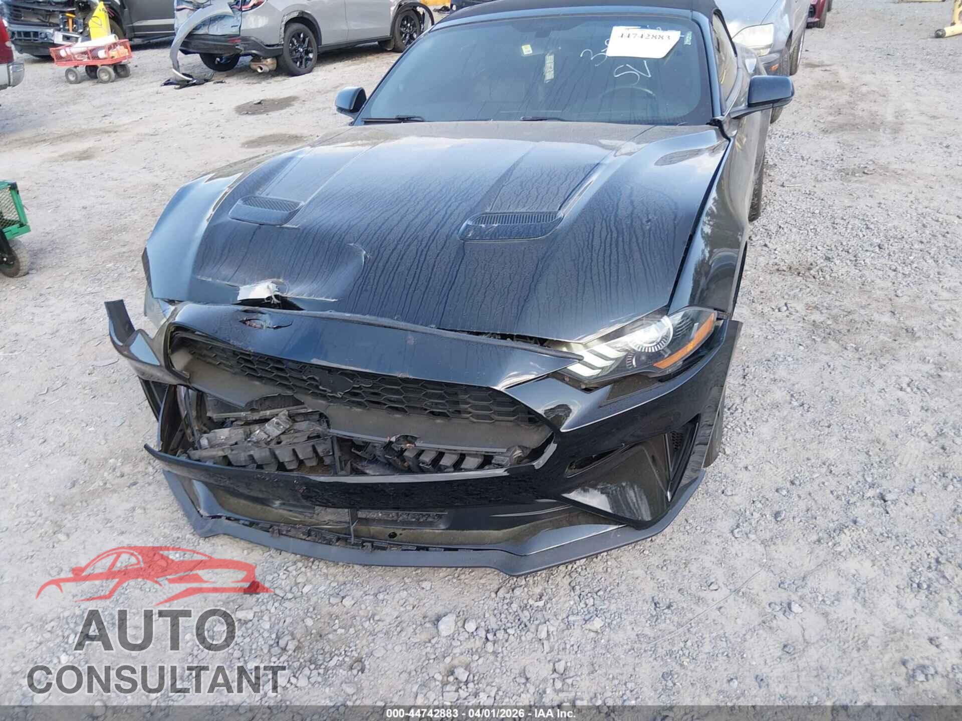 FORD MUSTANG 2019 - 1FATP8UH7K5158287