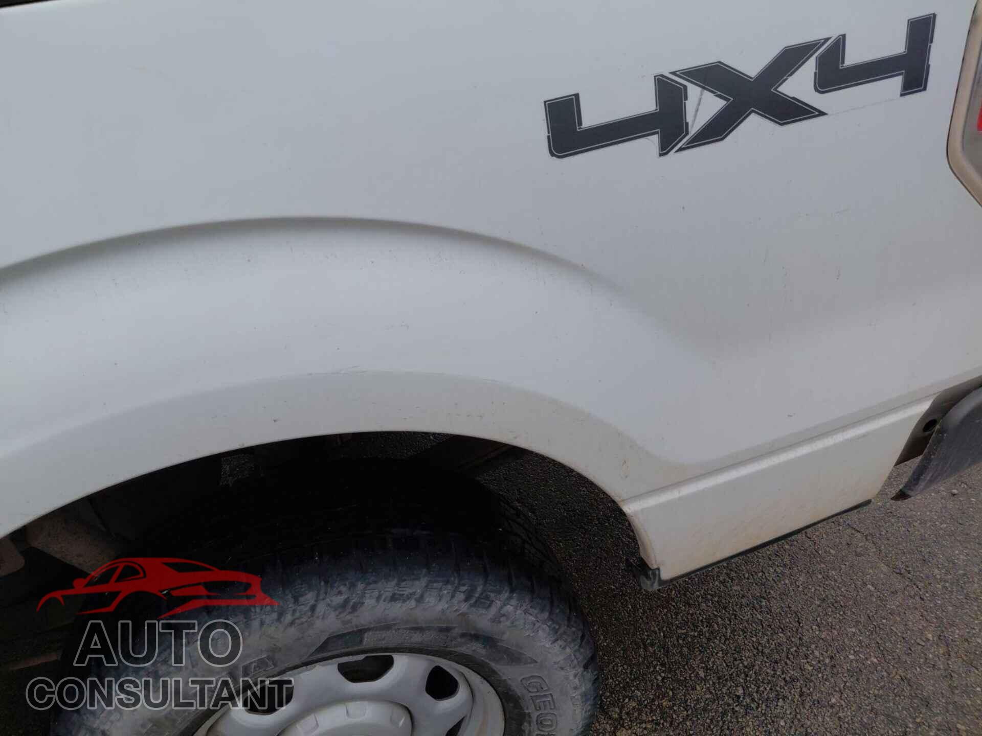 FORD F-150 2011 - 1FTFX1EF4BKD95171