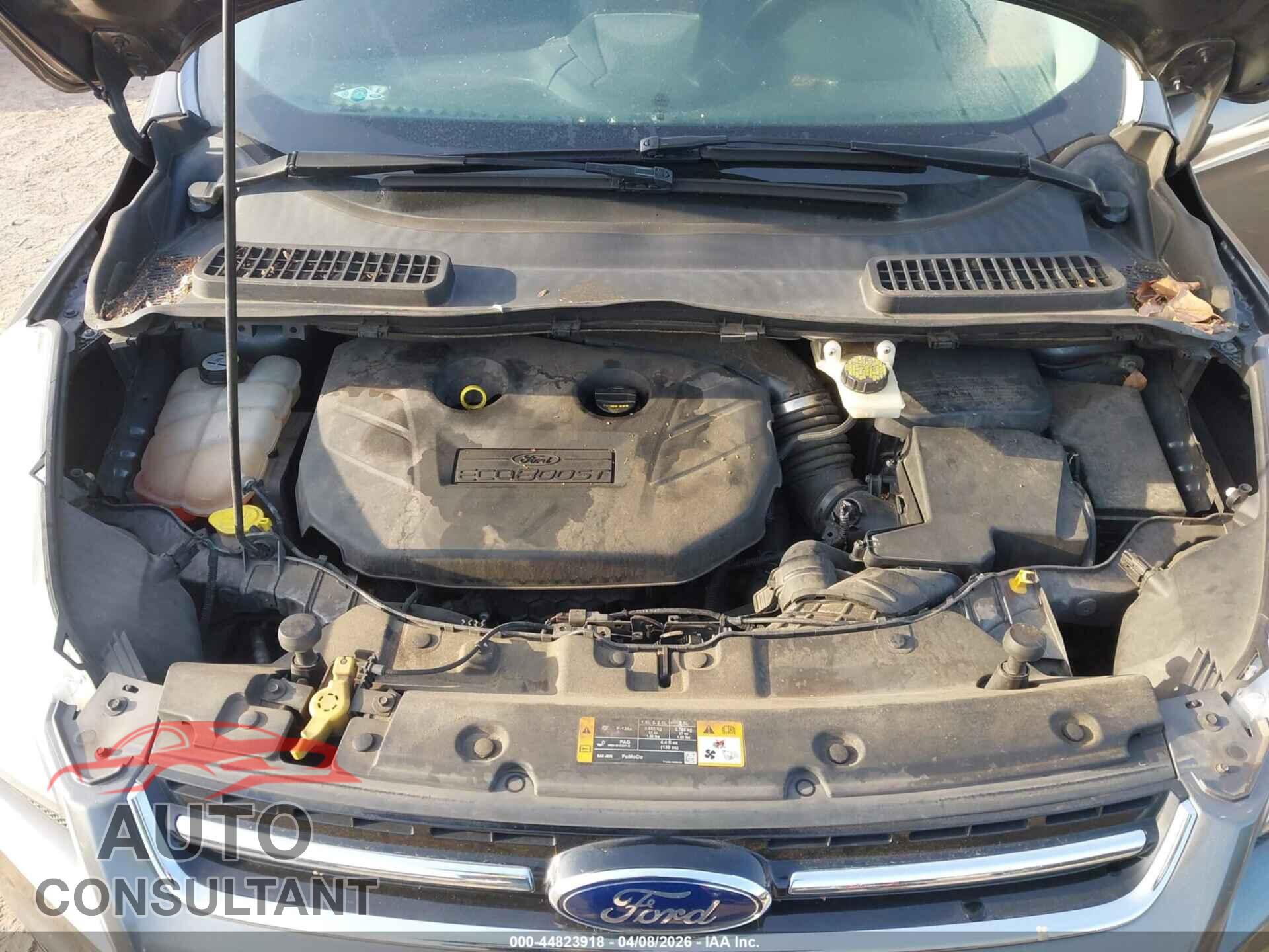 FORD ESCAPE 2014 - 1FMCU0J90EUA46292