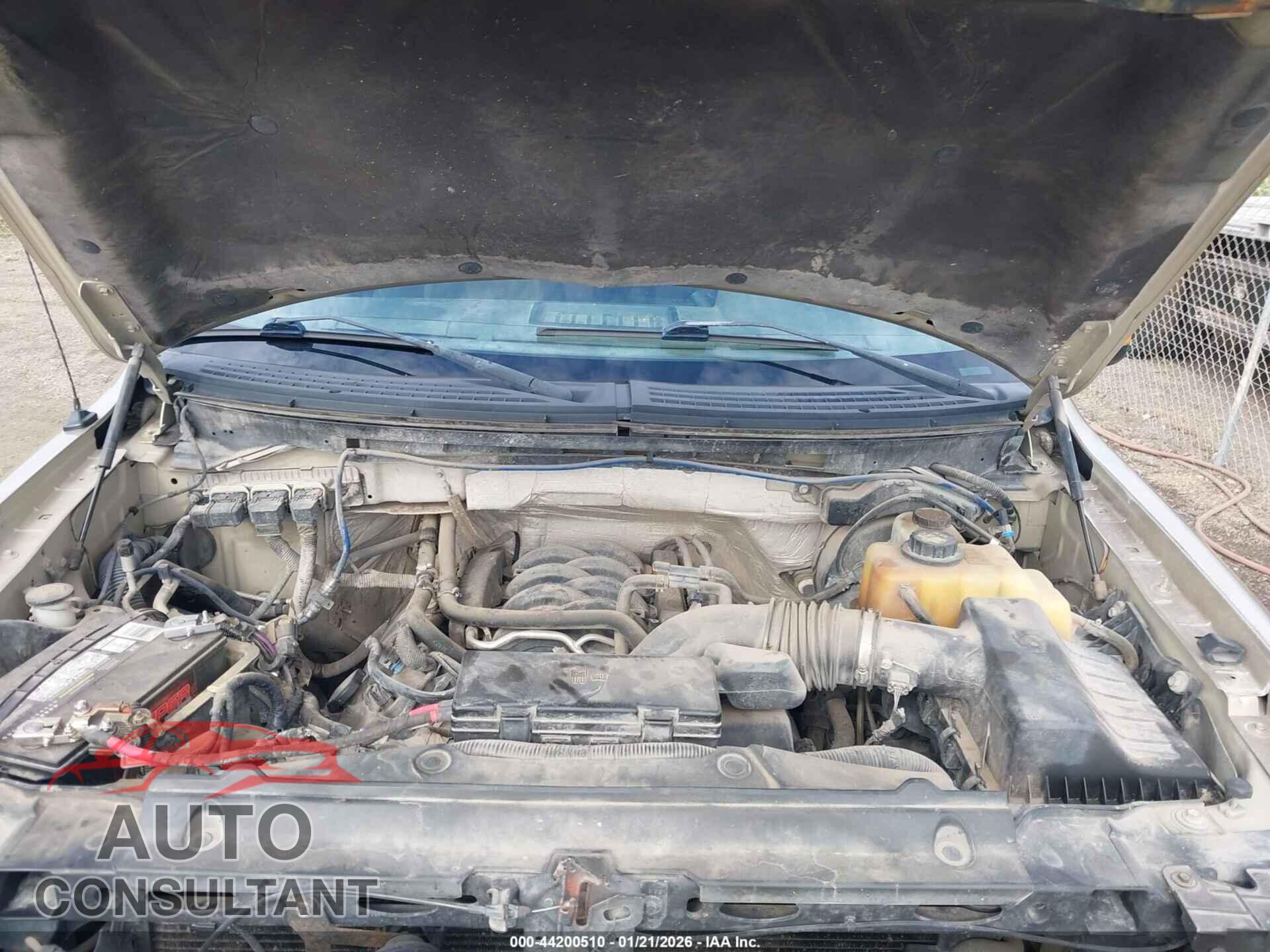 FORD F-150 2013 - 1FTFX1EFXDFB92281