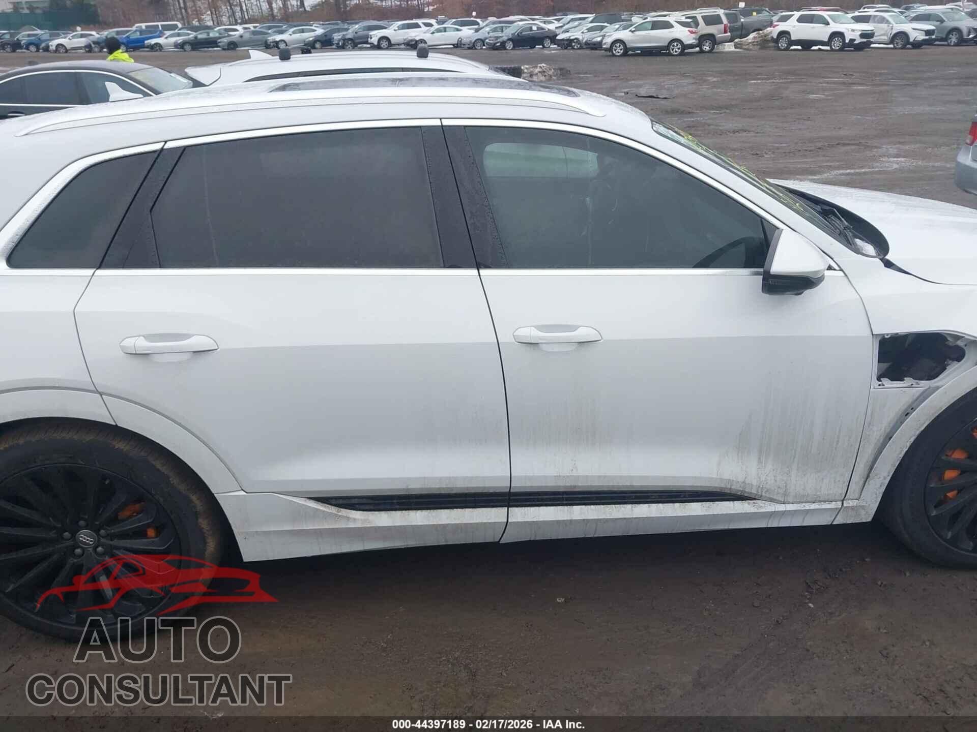AUDI E-TRON 2019 - WA1VAAGE1KB024075