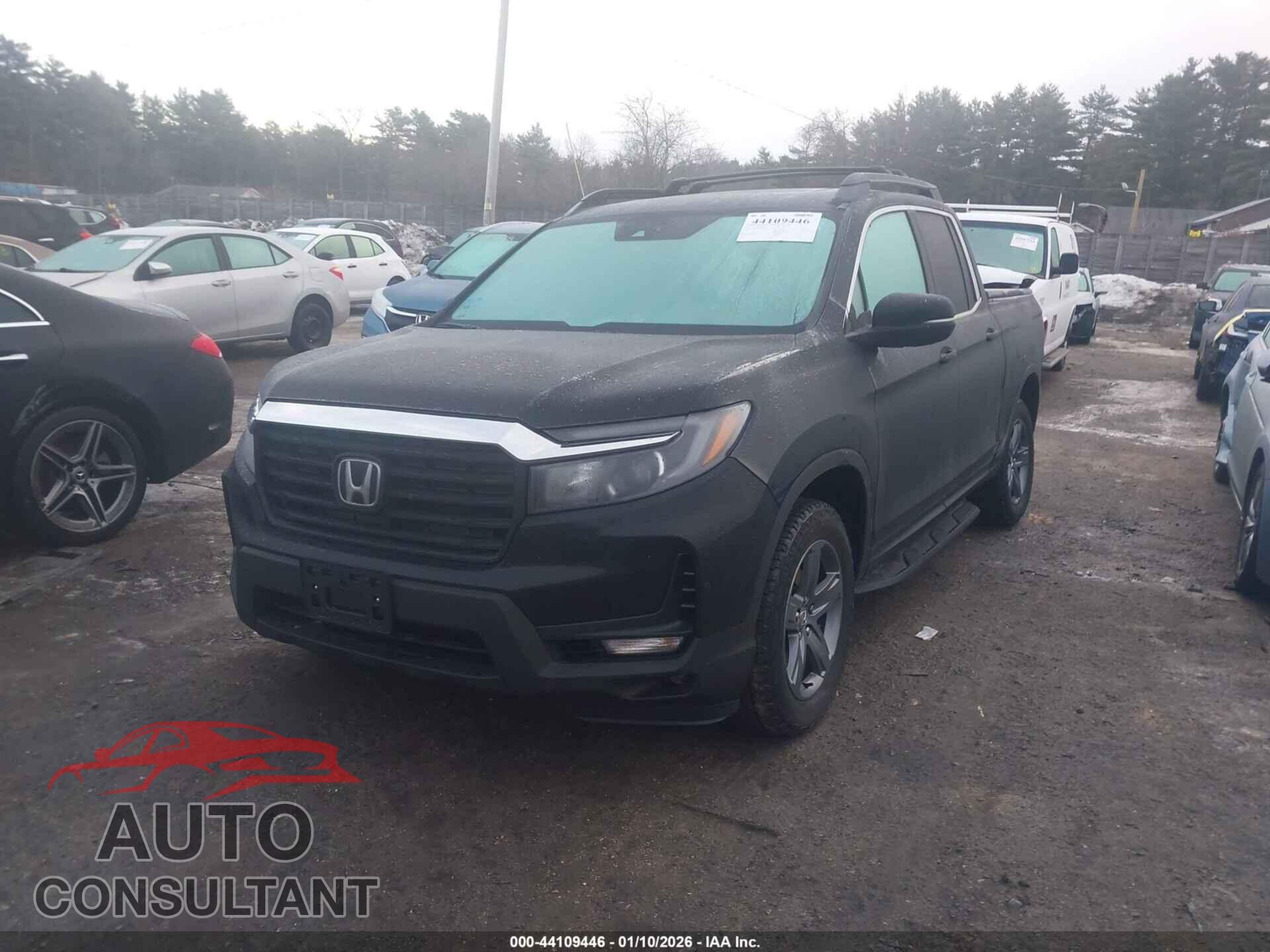 HONDA RIDGELINE 2023 - 5FPYK3F53PB059905