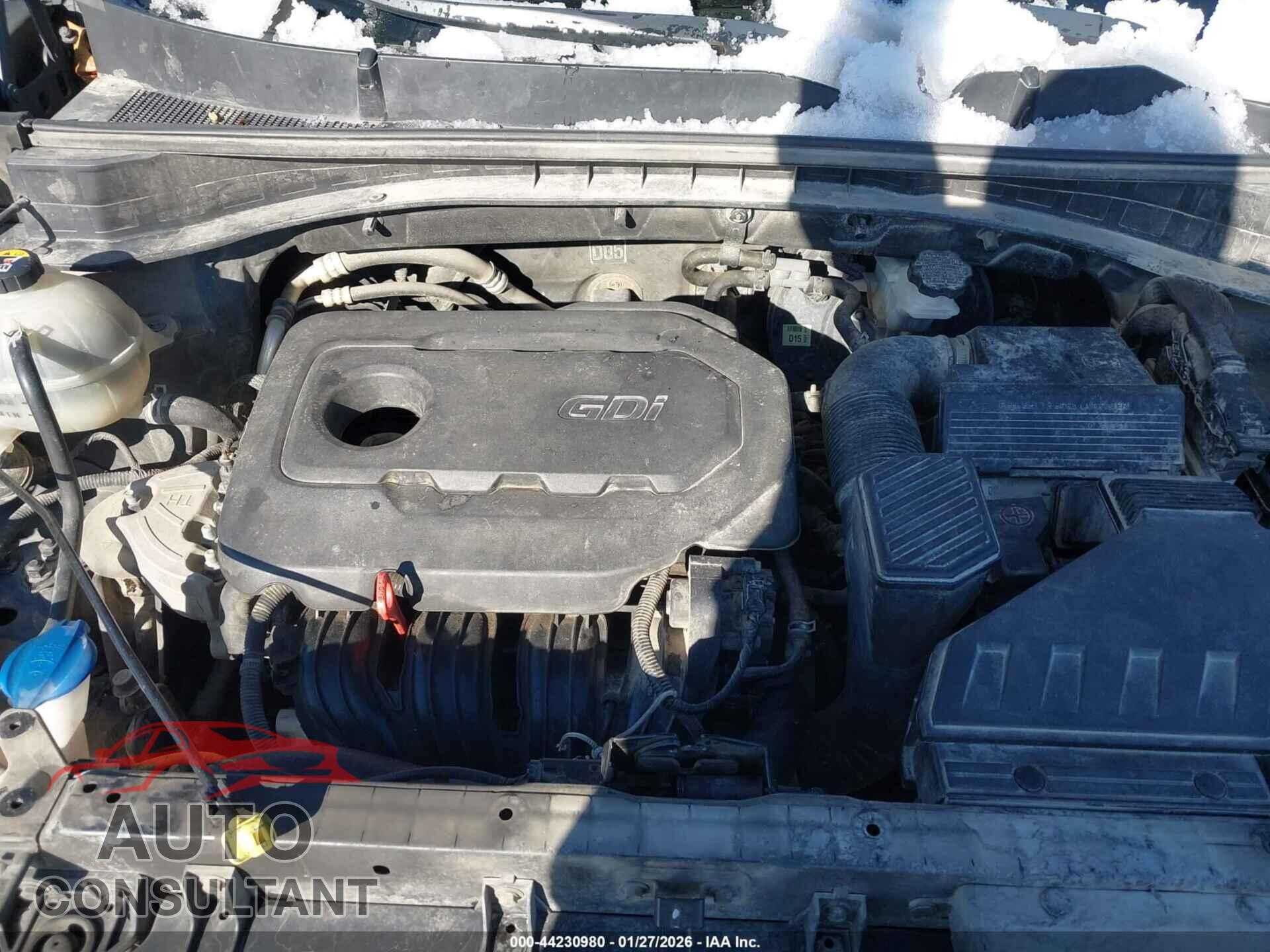 KIA SPORTAGE 2019 - KNDPMCAC4K7554682