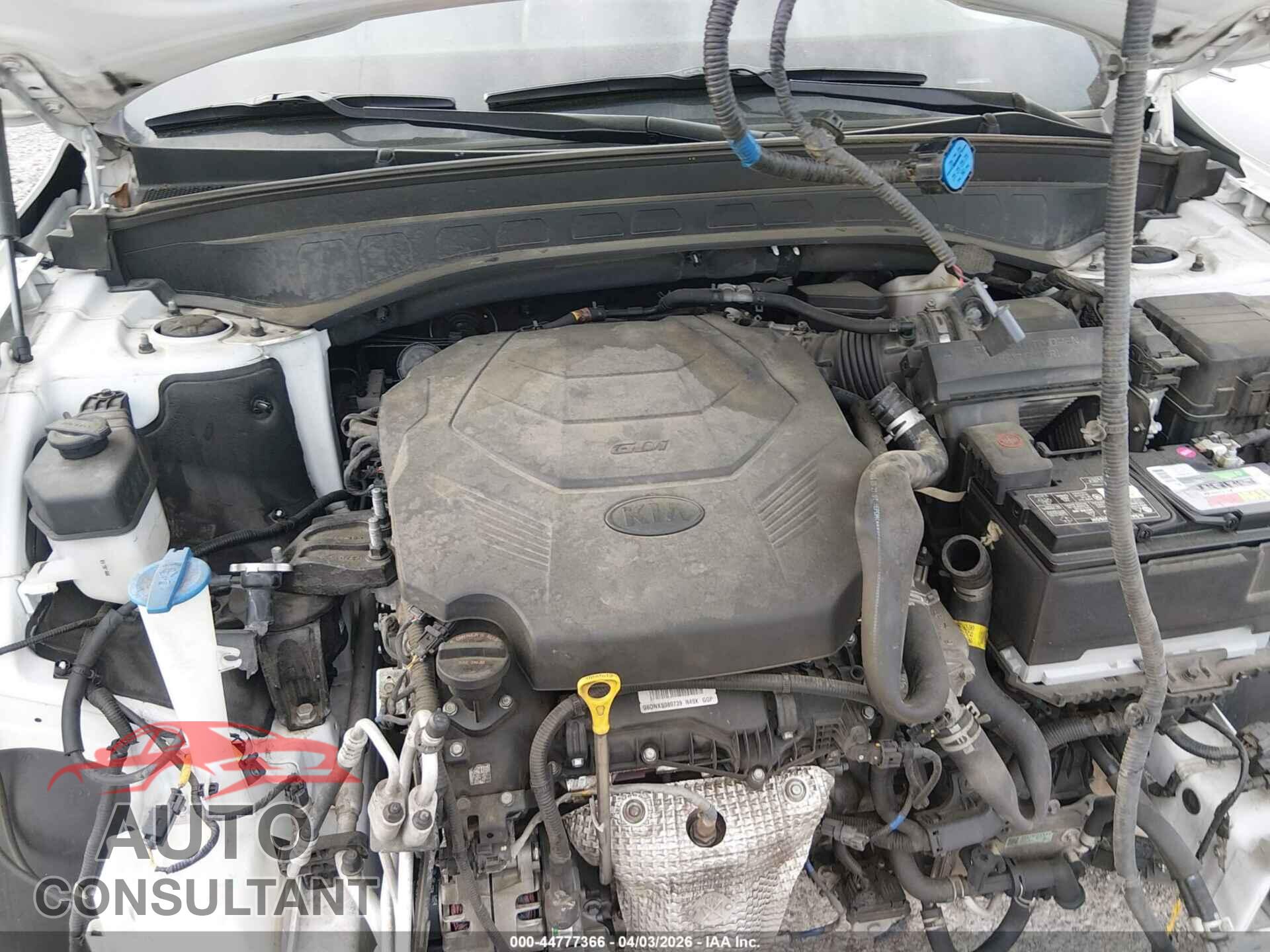 KIA TELLURIDE 2020 - 5XYP24HC6LG072060