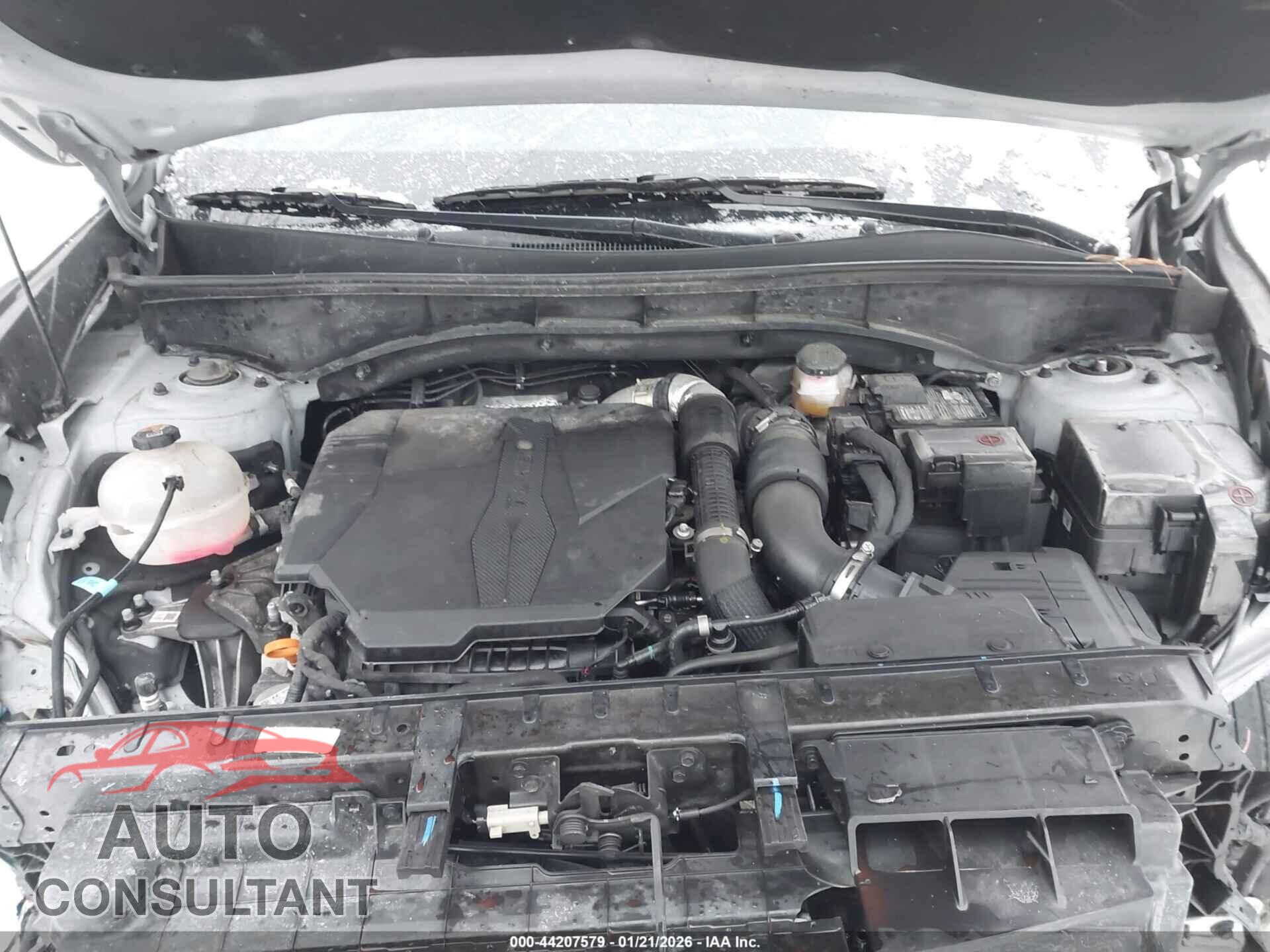 KIA SORENTO 2023 - 5XYRKDLF4PG246756