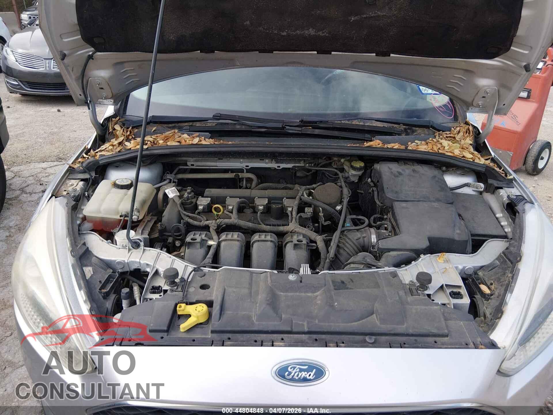 FORD FOCUS 2016 - 1FADP3K21GL213812