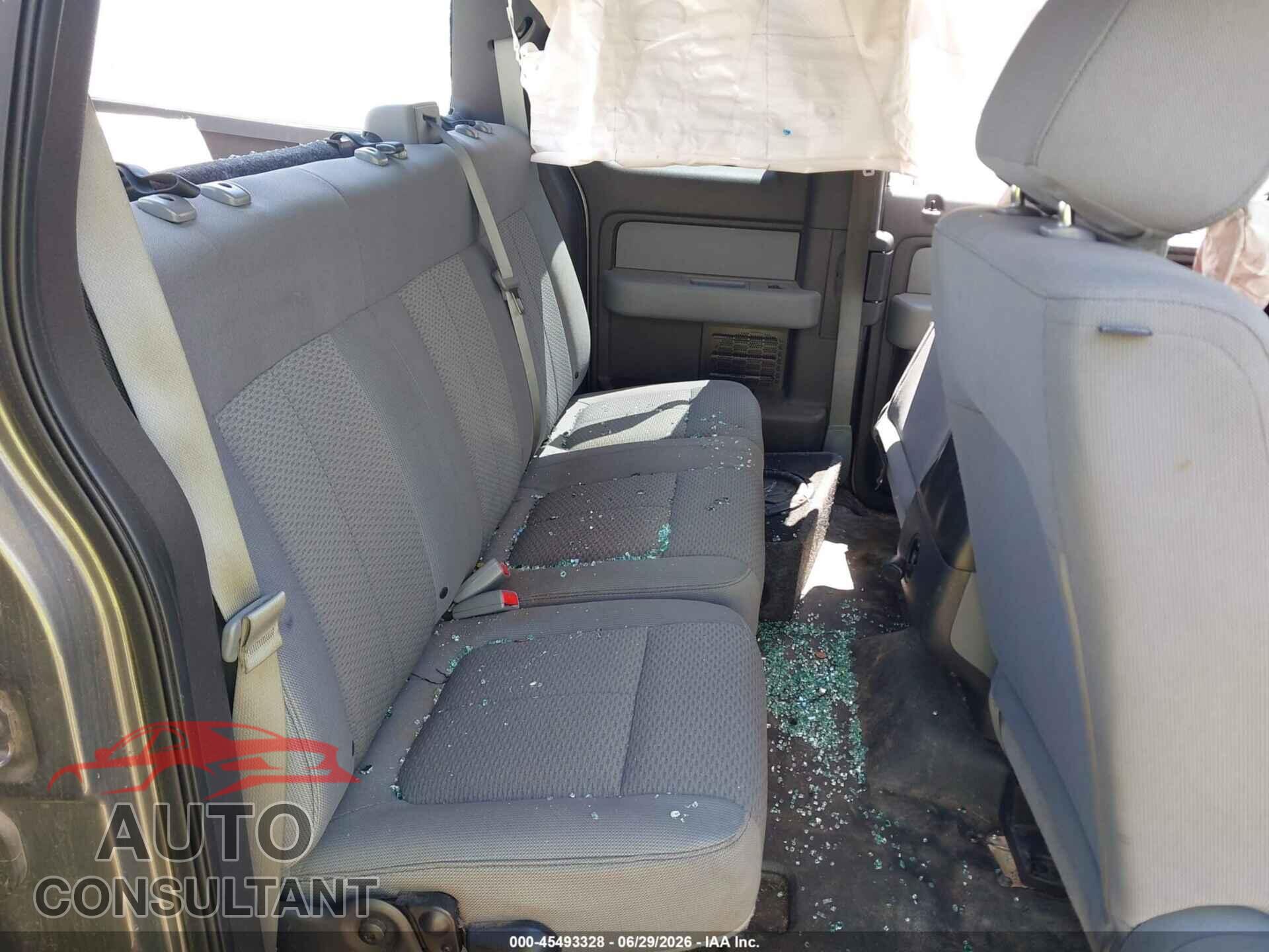 FORD F-150 2013 - 1FTFX1EF9DFC69318