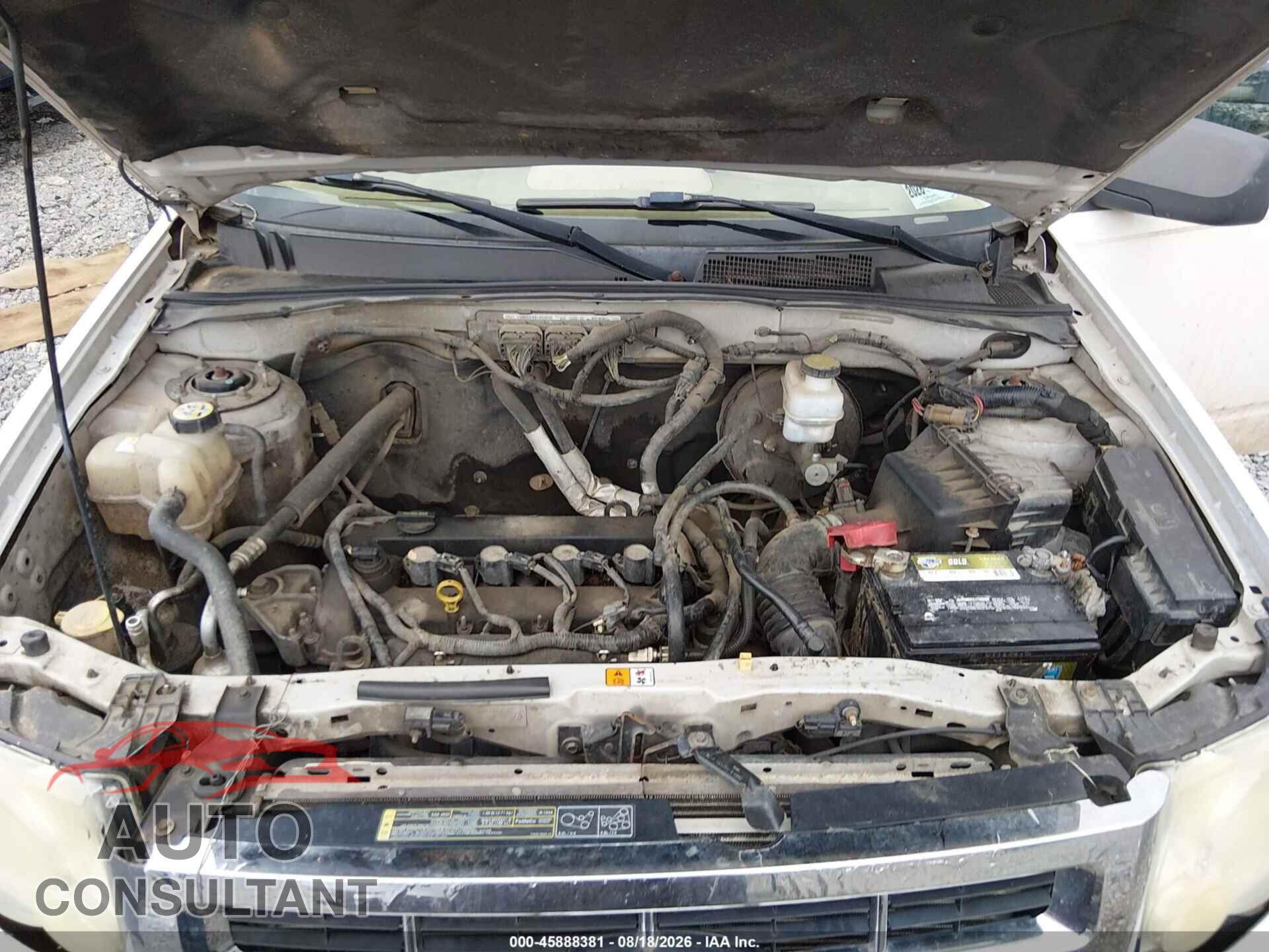 FORD ESCAPE 2010 - 1FMCU9D75AKC51739