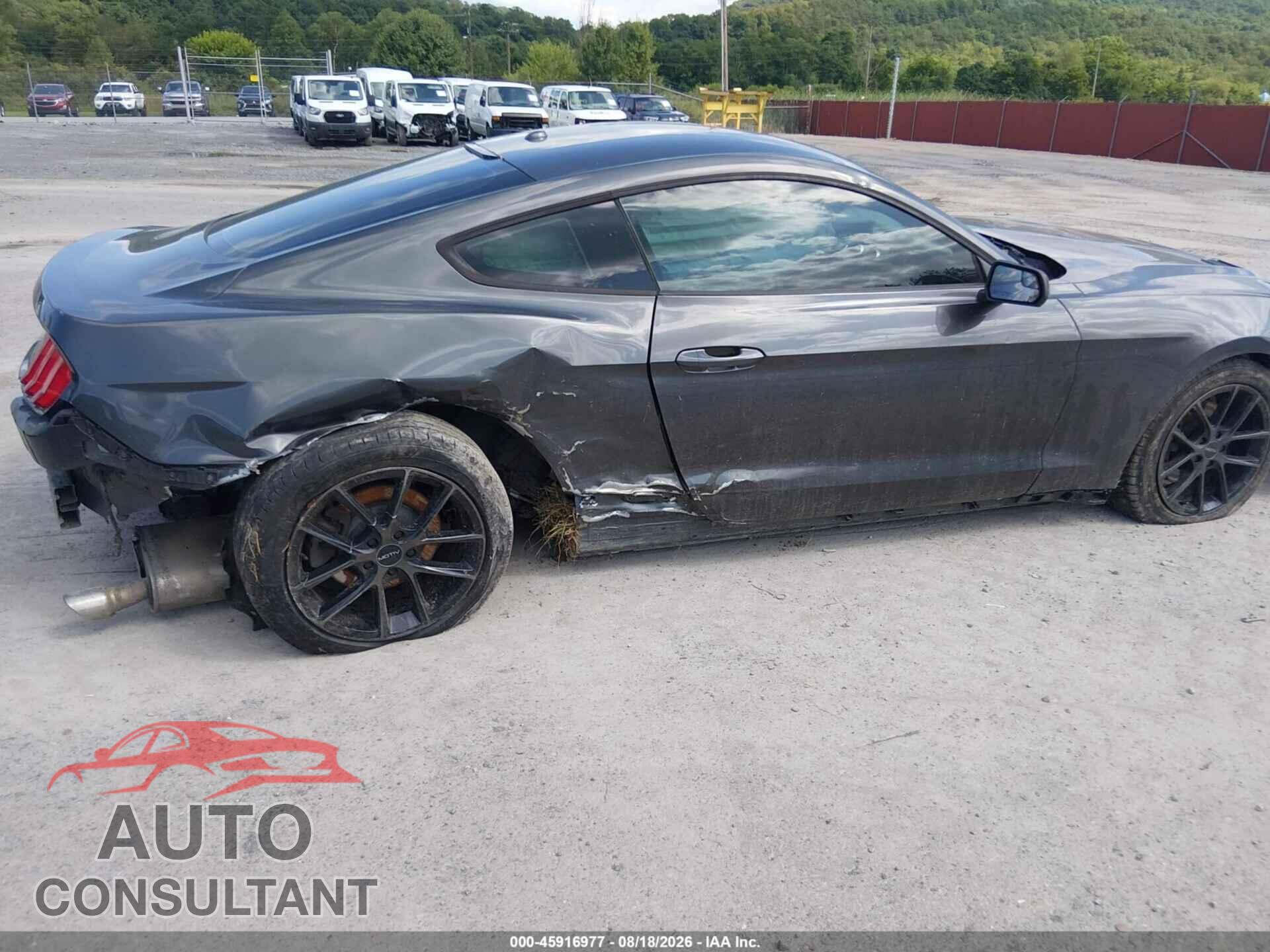 FORD MUSTANG 2019 - 1FA6P8TH9K5105671