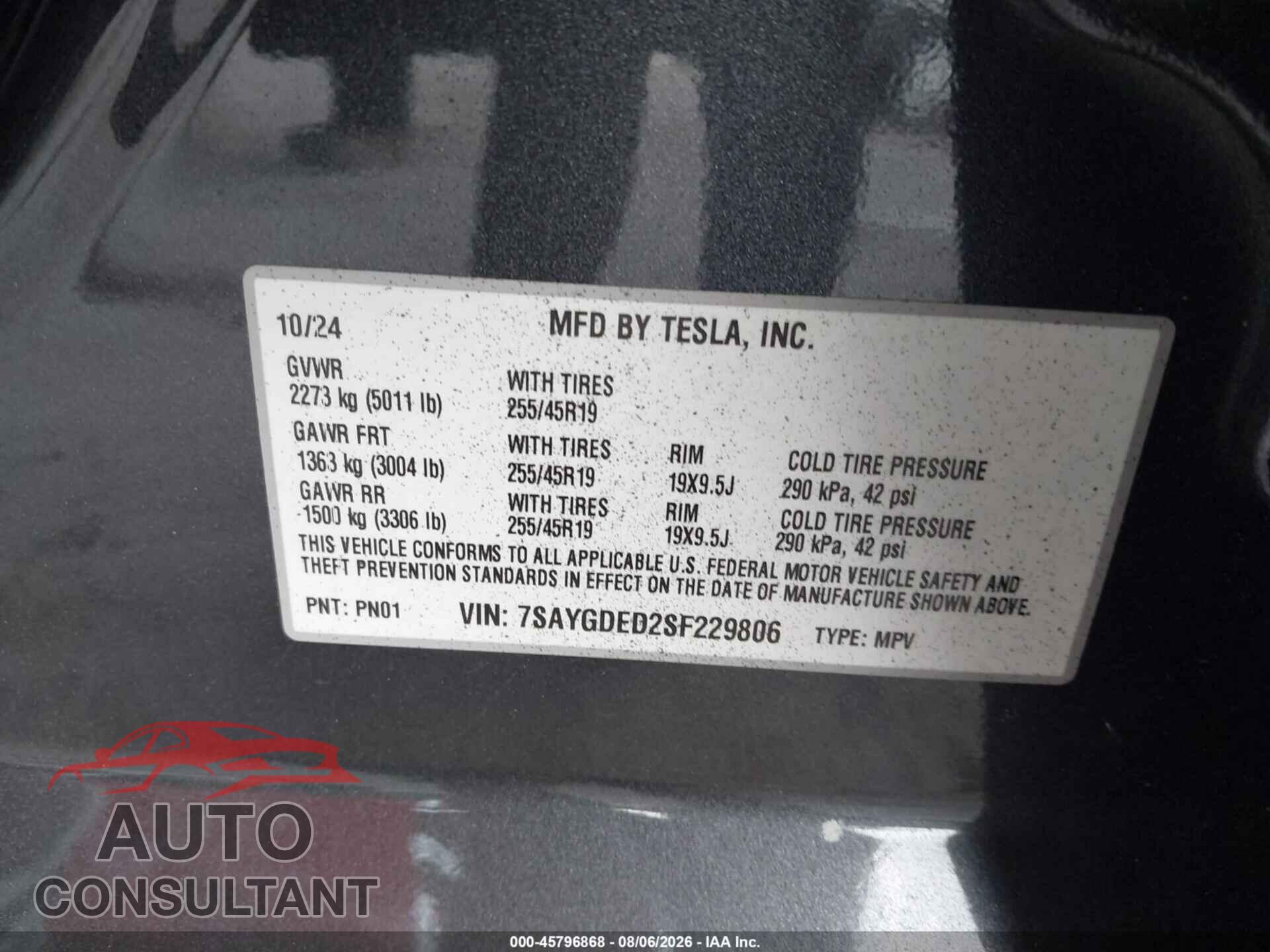 TESLA MODEL Y 2025 - 7SAYGDED2SF229806