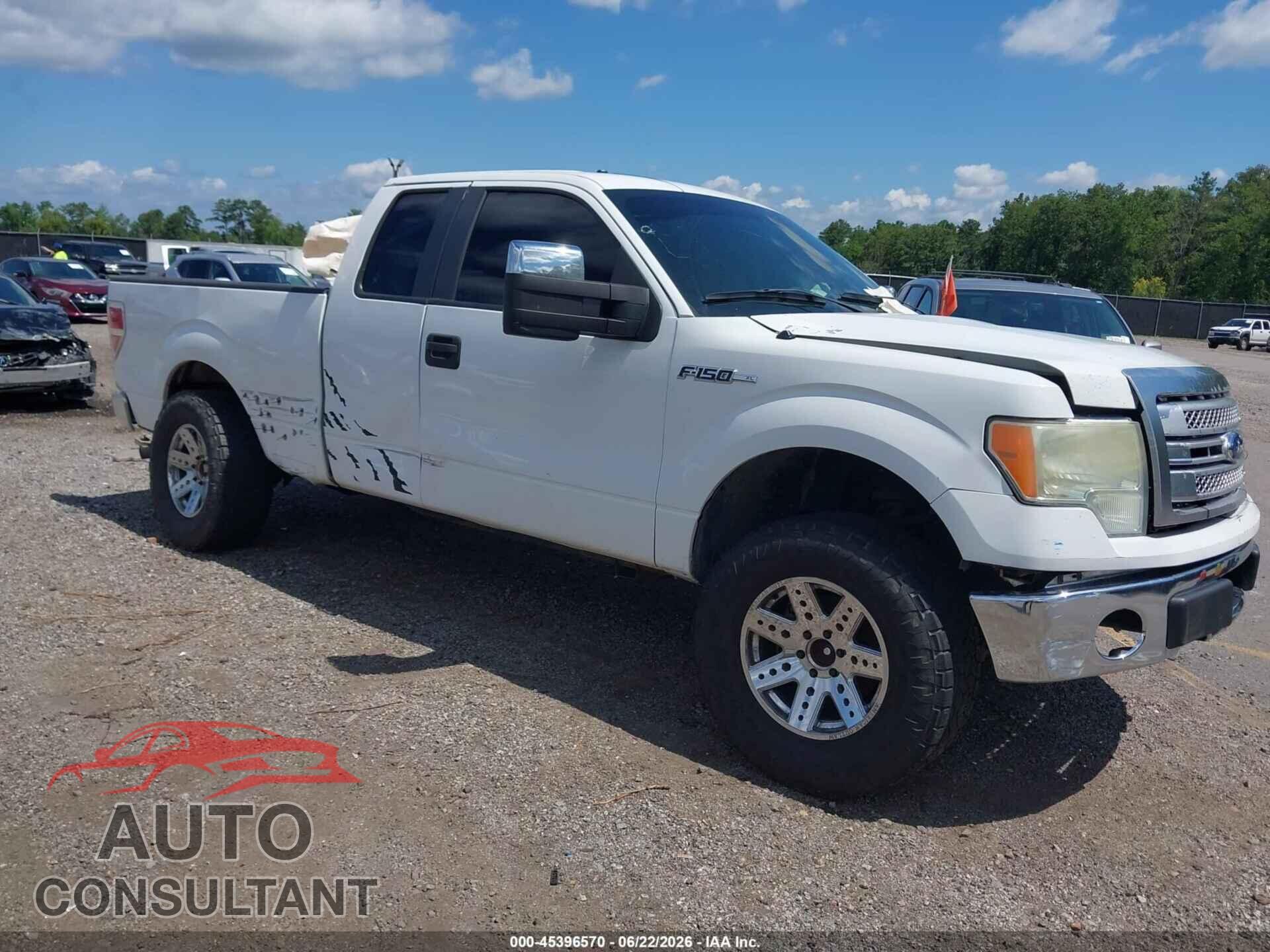 FORD F-150 2010 - 1FTFX1EV1AFA82903