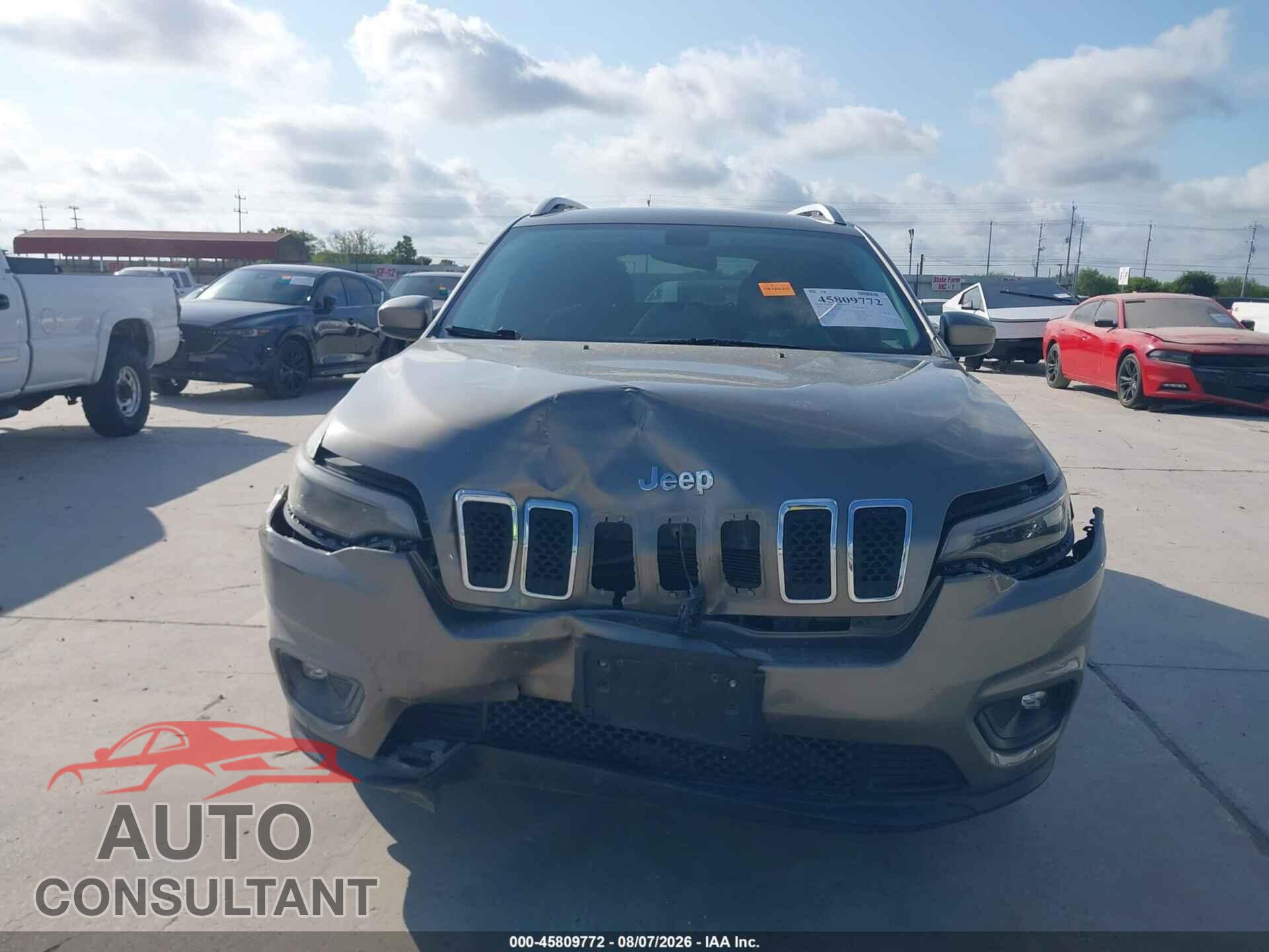 JEEP CHEROKEE 2019 - 1C4PJLCB8KD357903