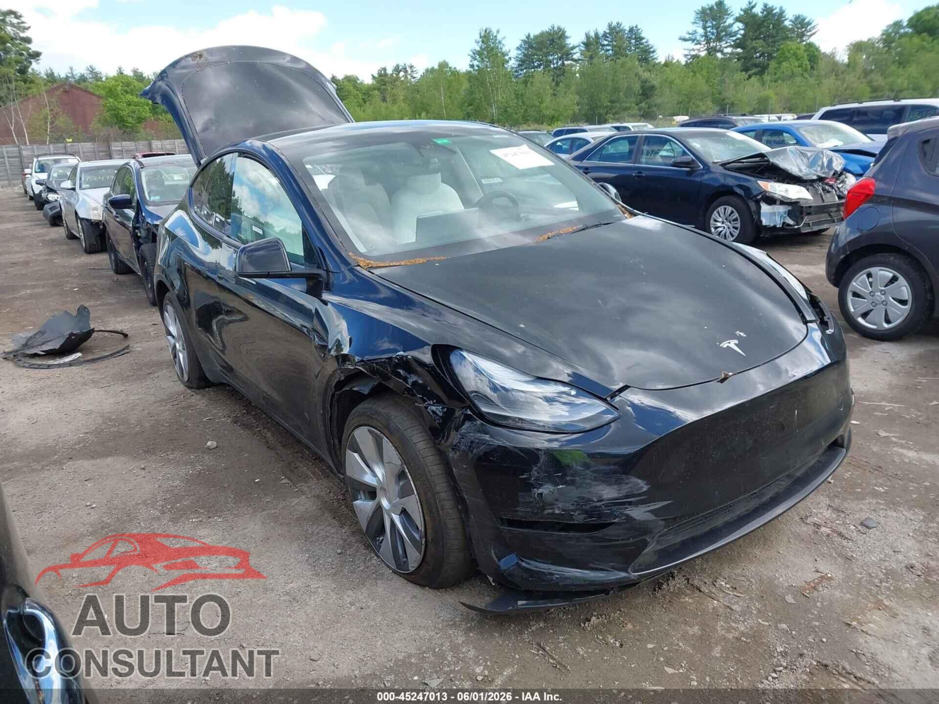 TESLA MODEL Y 2023 - 7SAYGAEE2PF766089