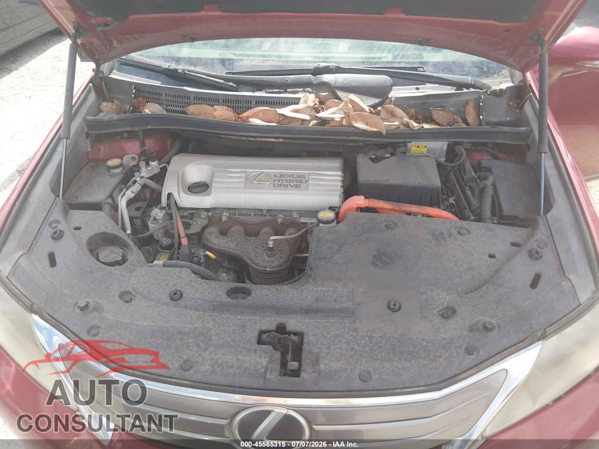 LEXUS HS 250H 2010 - JTHBB1BA6A2025651