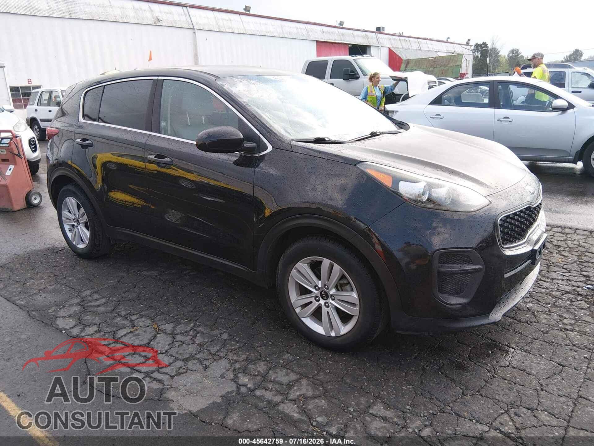 KIA SPORTAGE 2017 - KNDPM3AC7H7219425