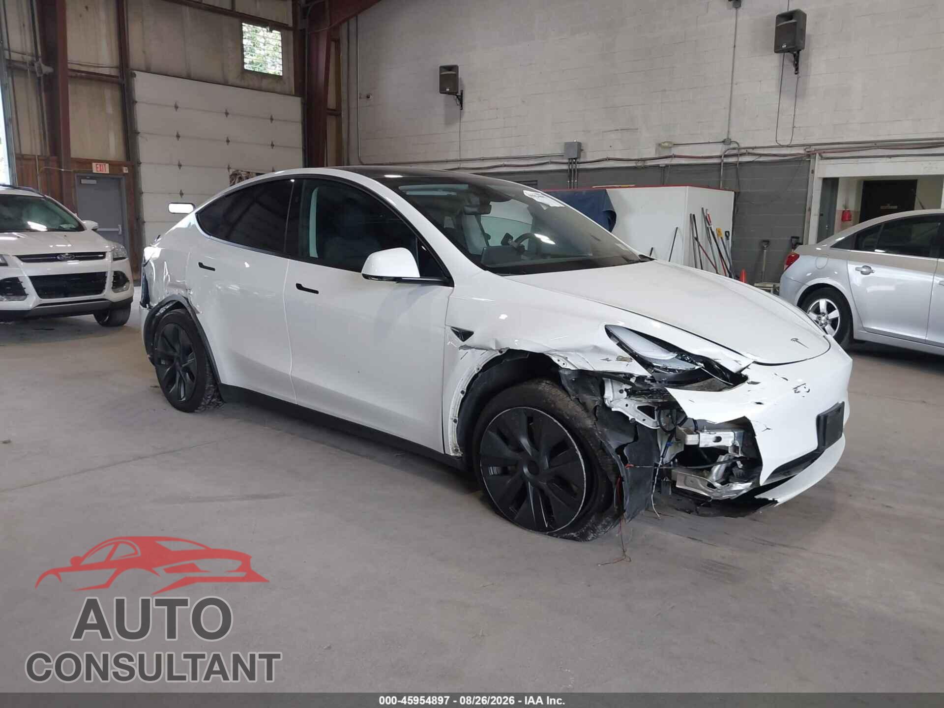 TESLA MODEL Y 2024 - 7SAYGAEEXRF170652