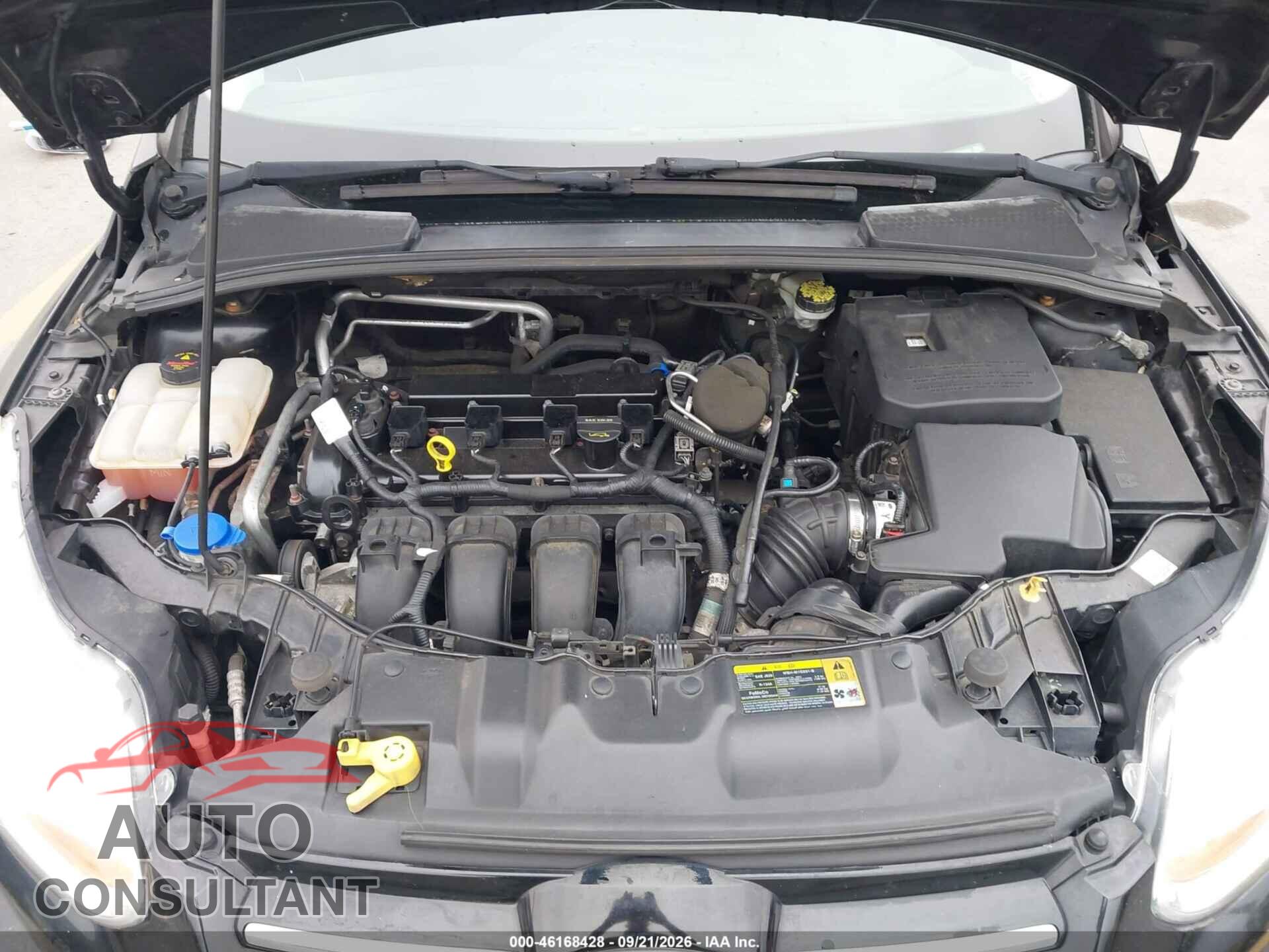 FORD FOCUS 2012 - 1FAHP3M25CL295696