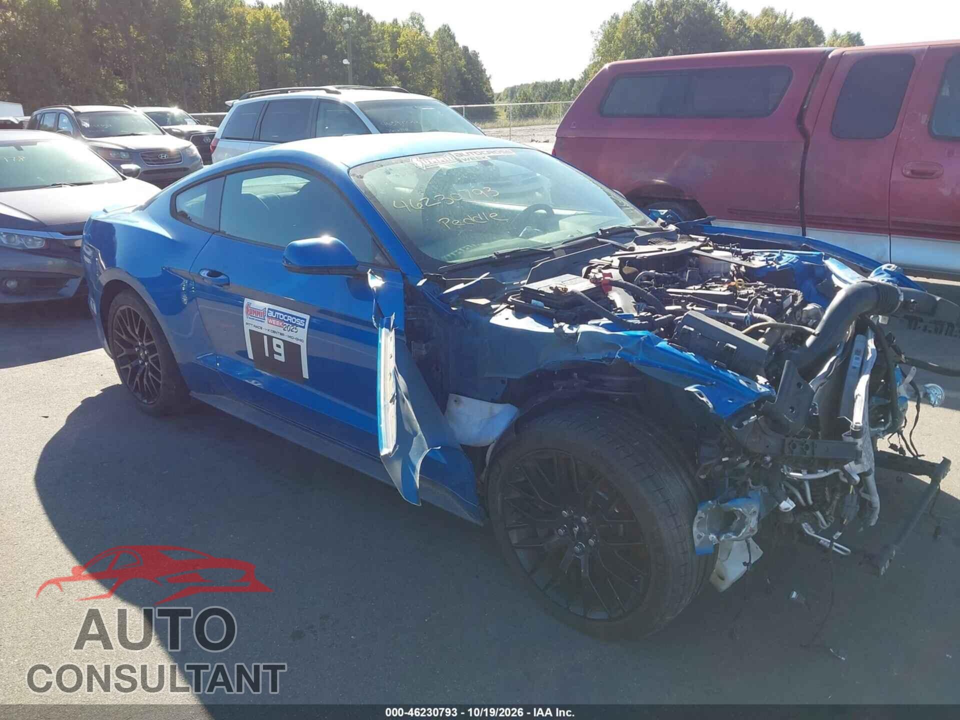 FORD MUSTANG 2019 - 1FA6P8TH3K5167650