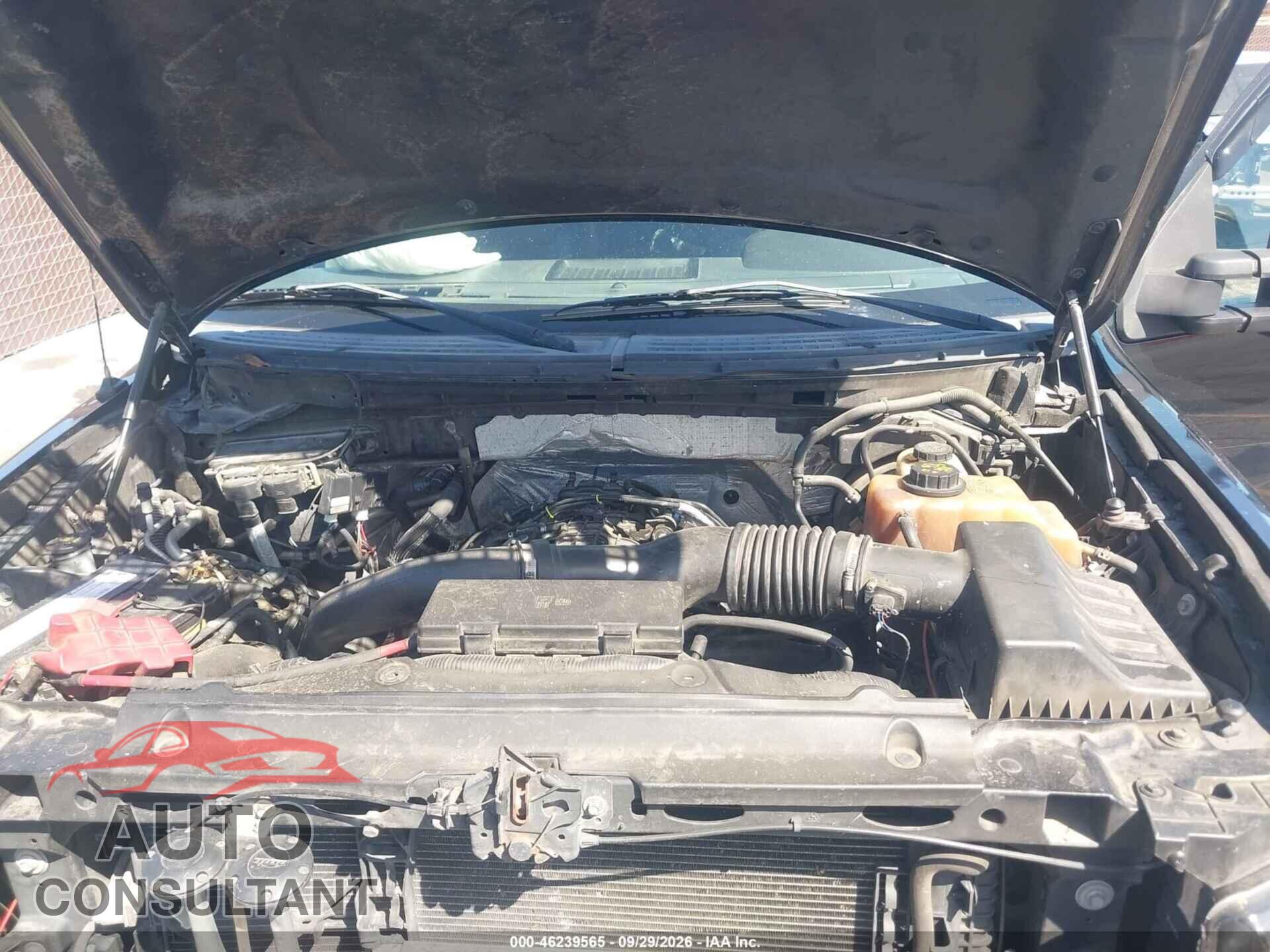 FORD F-150 2011 - 1FTFW1ET5BFB01679