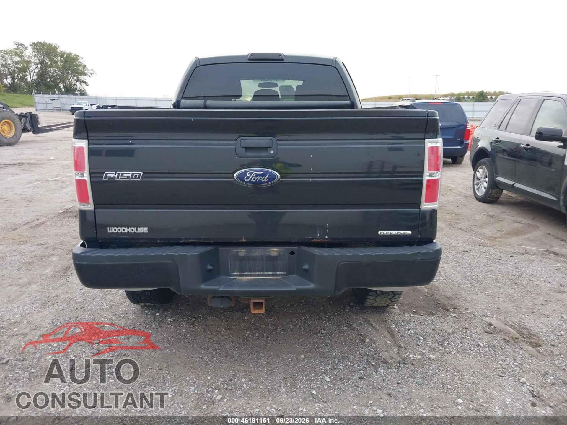 FORD F-150 2012 - 1FTFX1EF6CFA96419