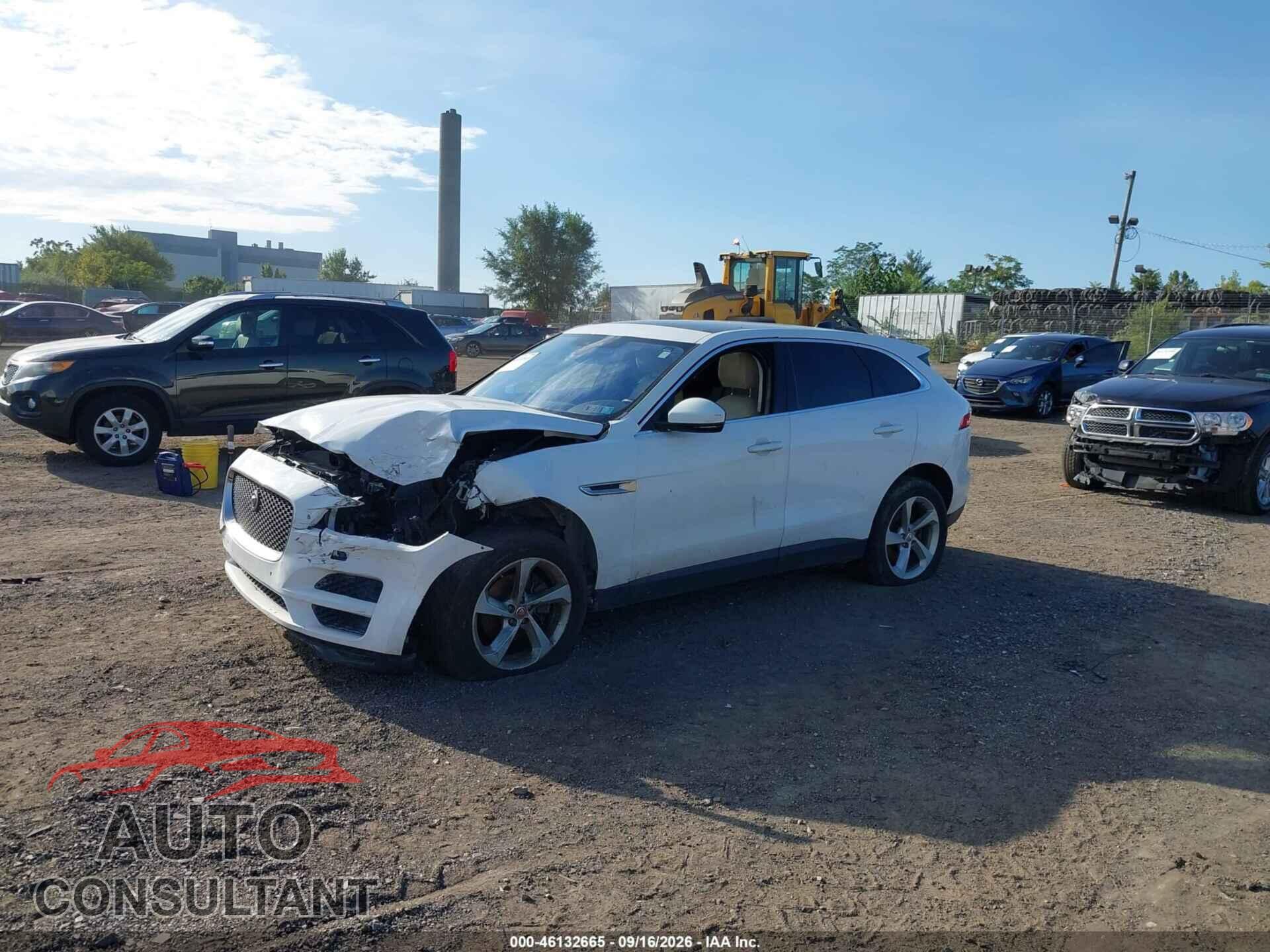 JAGUAR F-PACE 2020 - SADCJ2FX1LA624726
