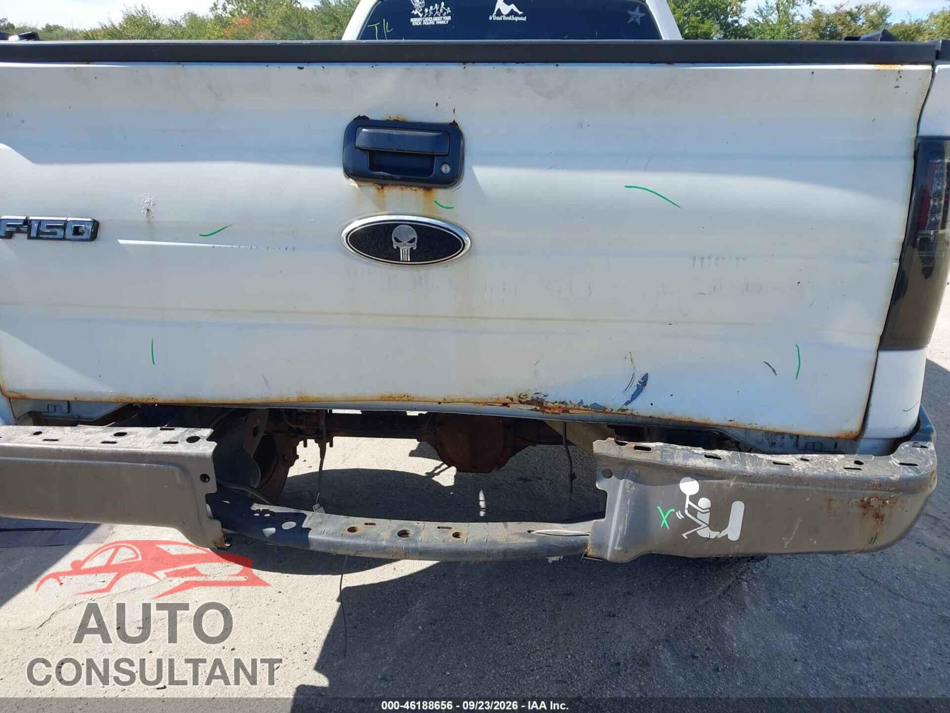 FORD F-150 2013 - 1FTMF1CM8DKD85953