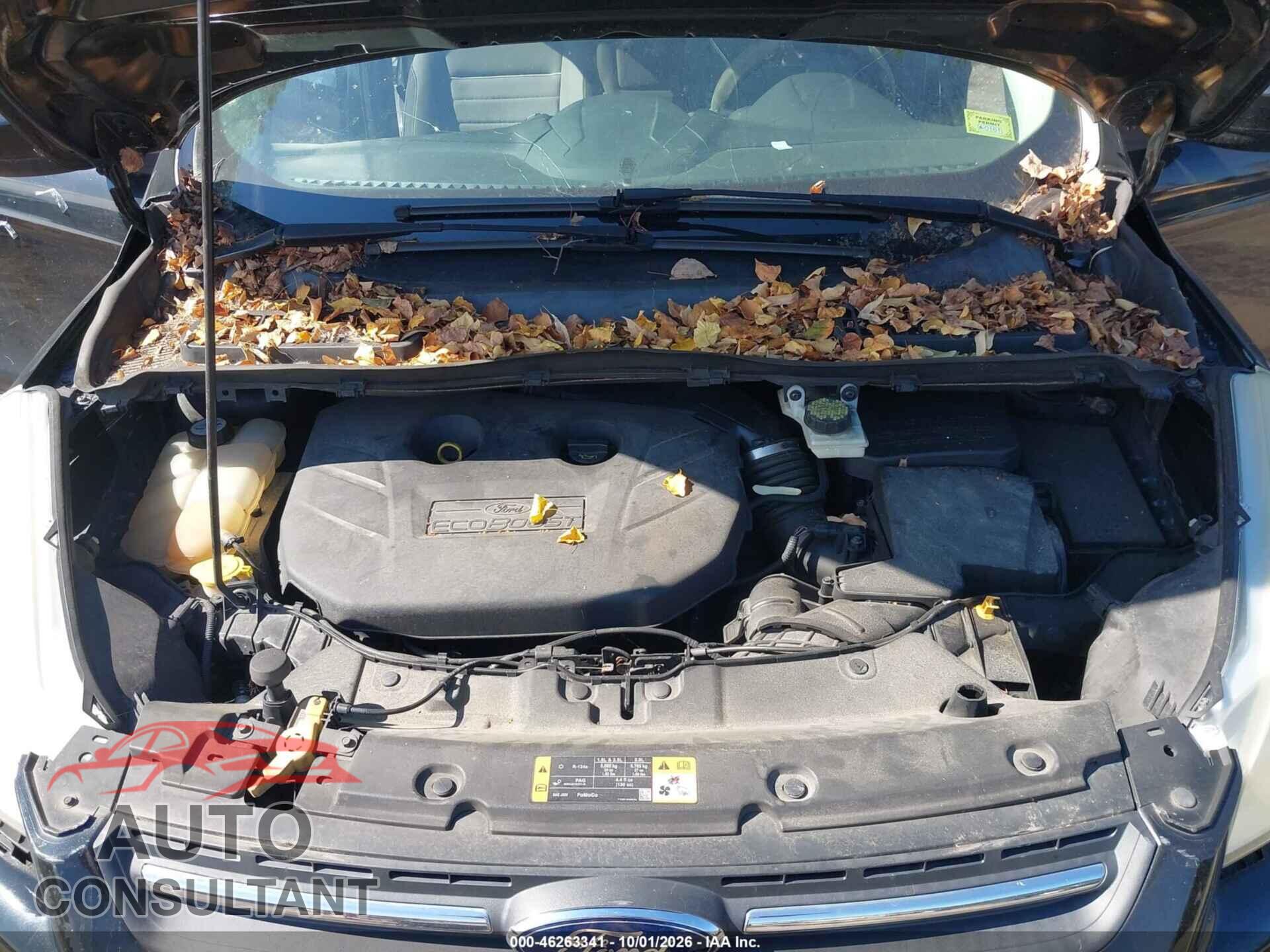 FORD ESCAPE 2013 - 1FMCU9G92DUB05482