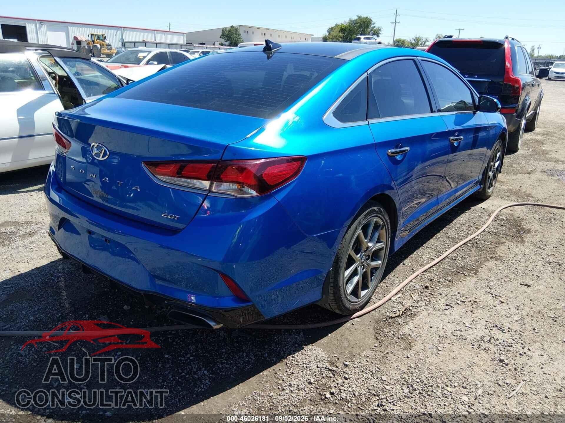 HYUNDAI SONATA 2019 - 5NPE34AB4KH762290
