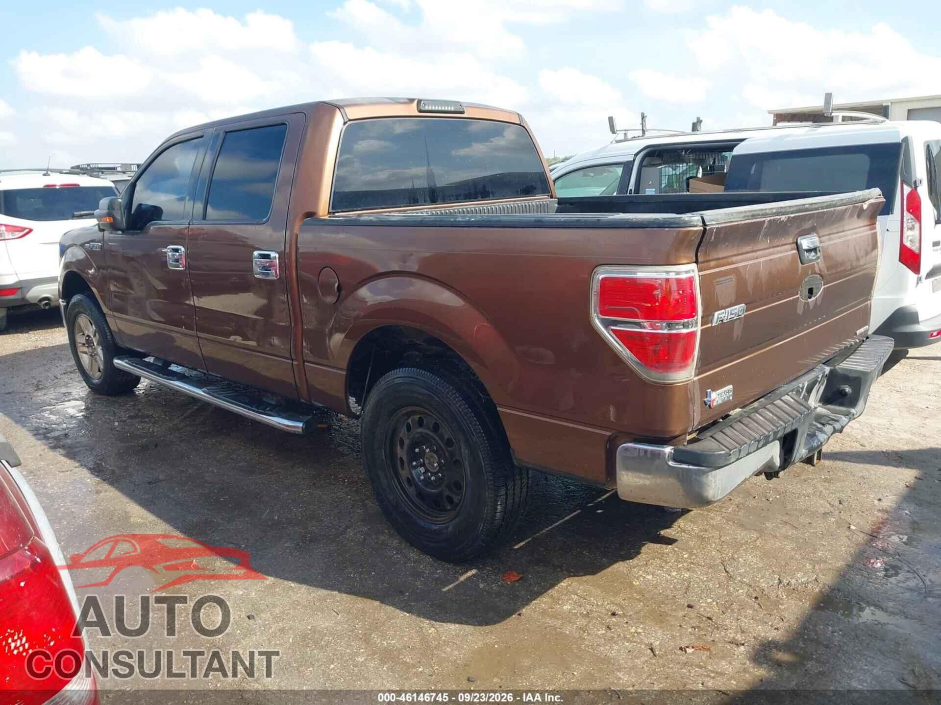 FORD F-150 2011 - 1FTEW1CM4BFC38734