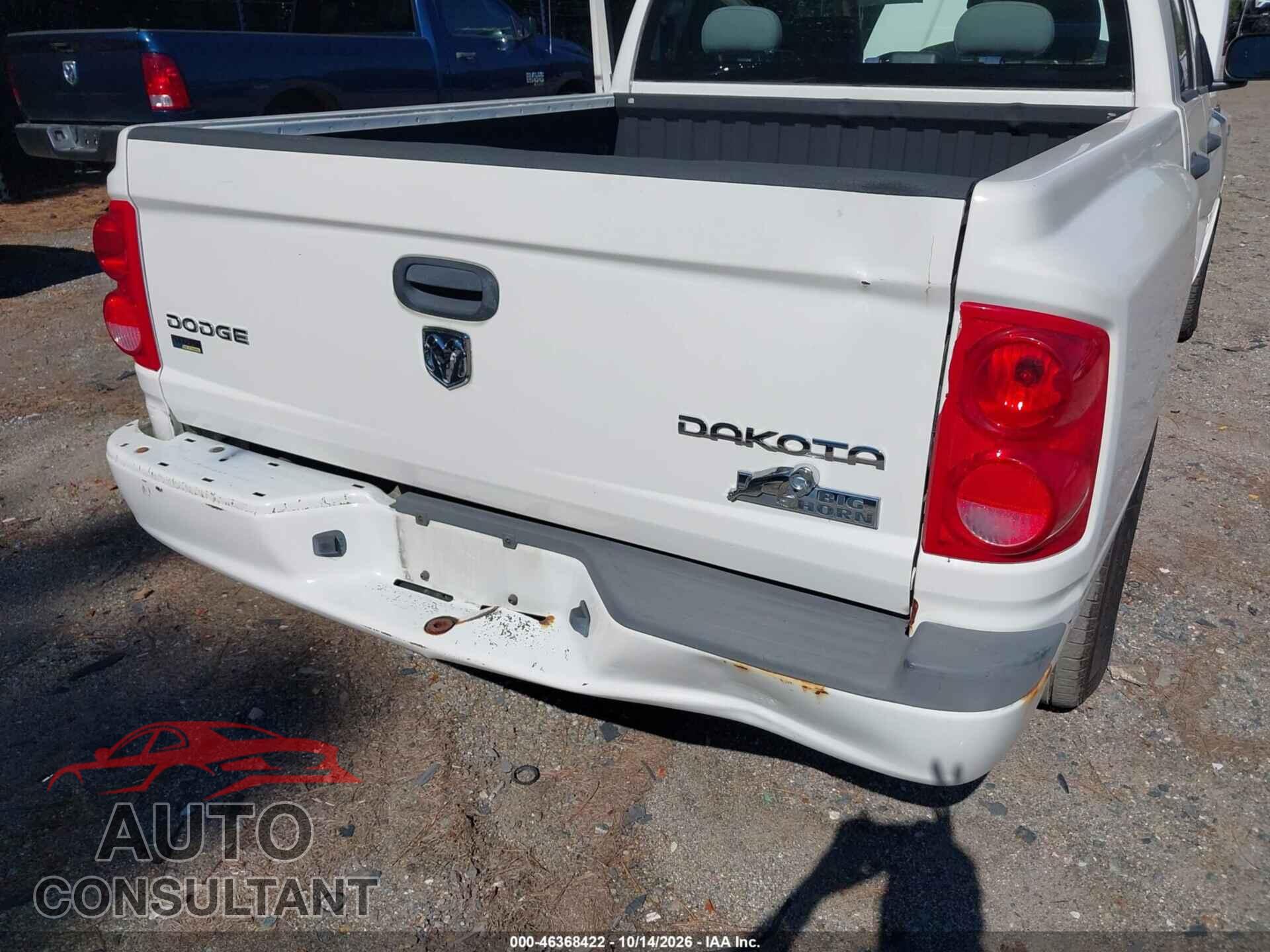 DODGE DAKOTA 2009 - 1D3HE38P19S744545